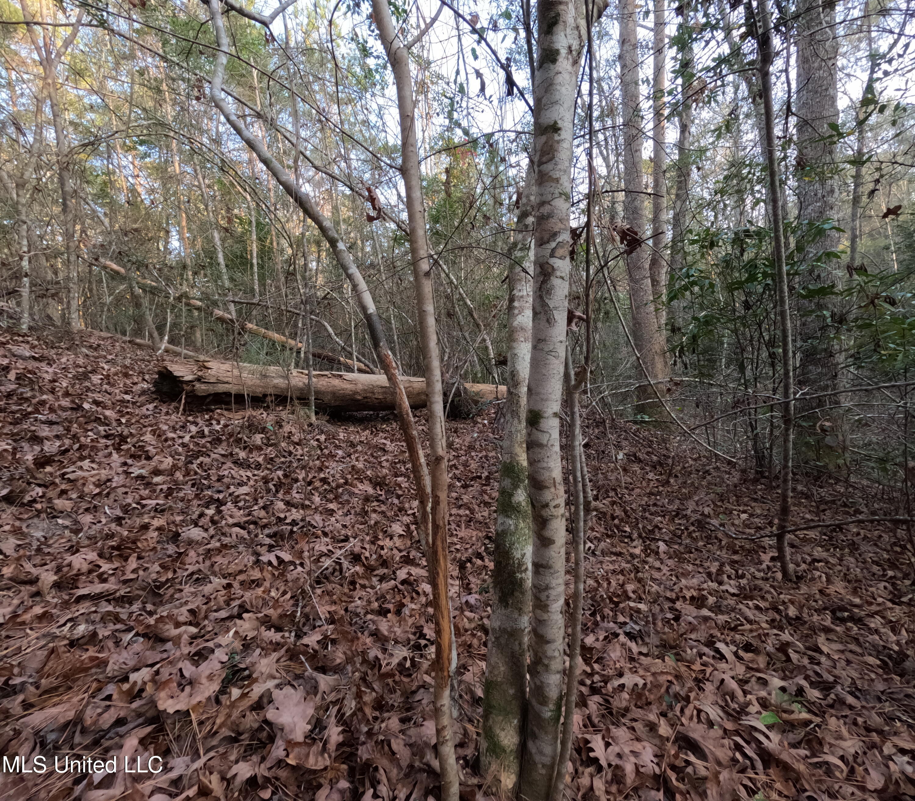 S County Line Road Property Photo 26