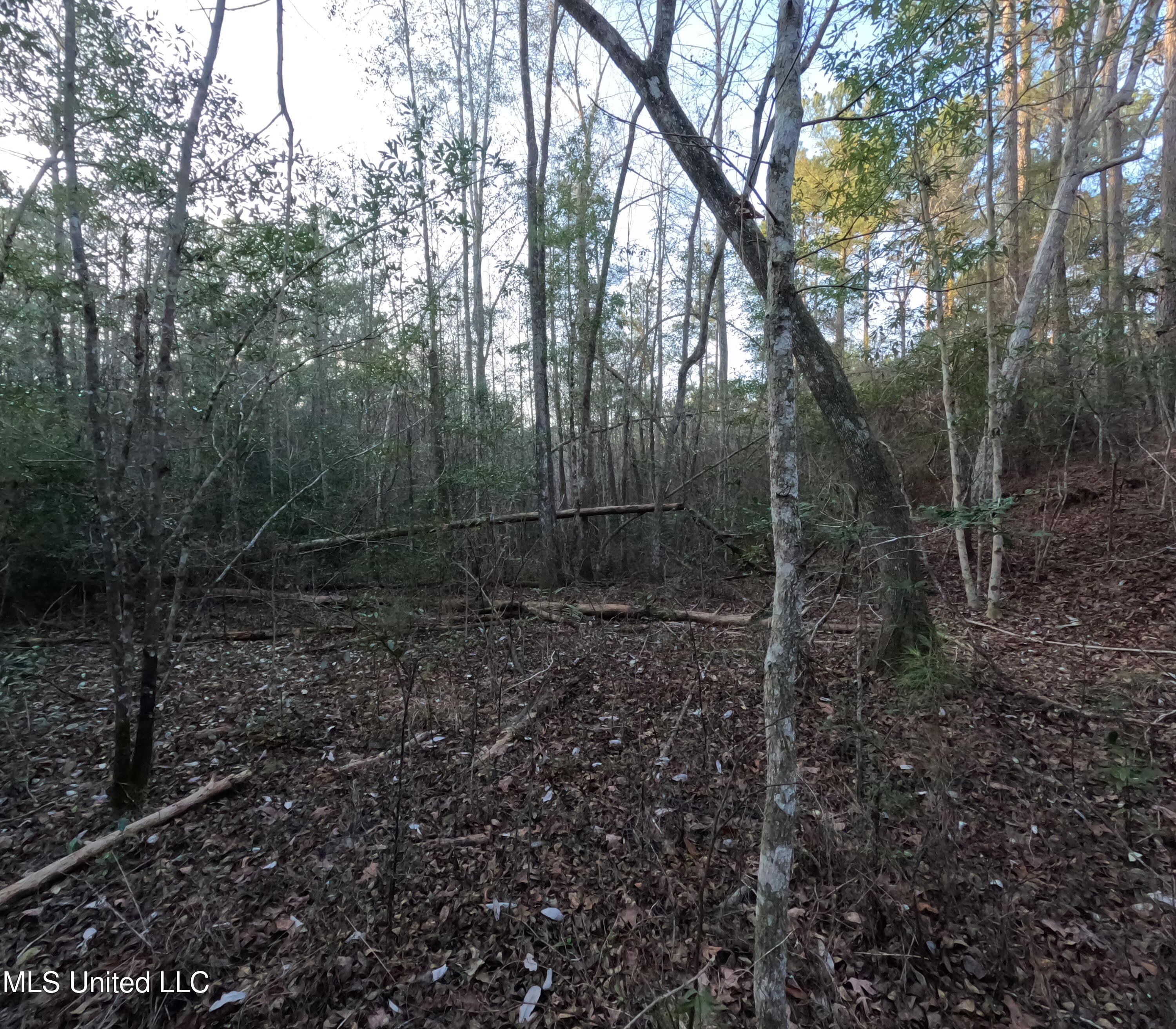 S County Line Road Property Photo 27