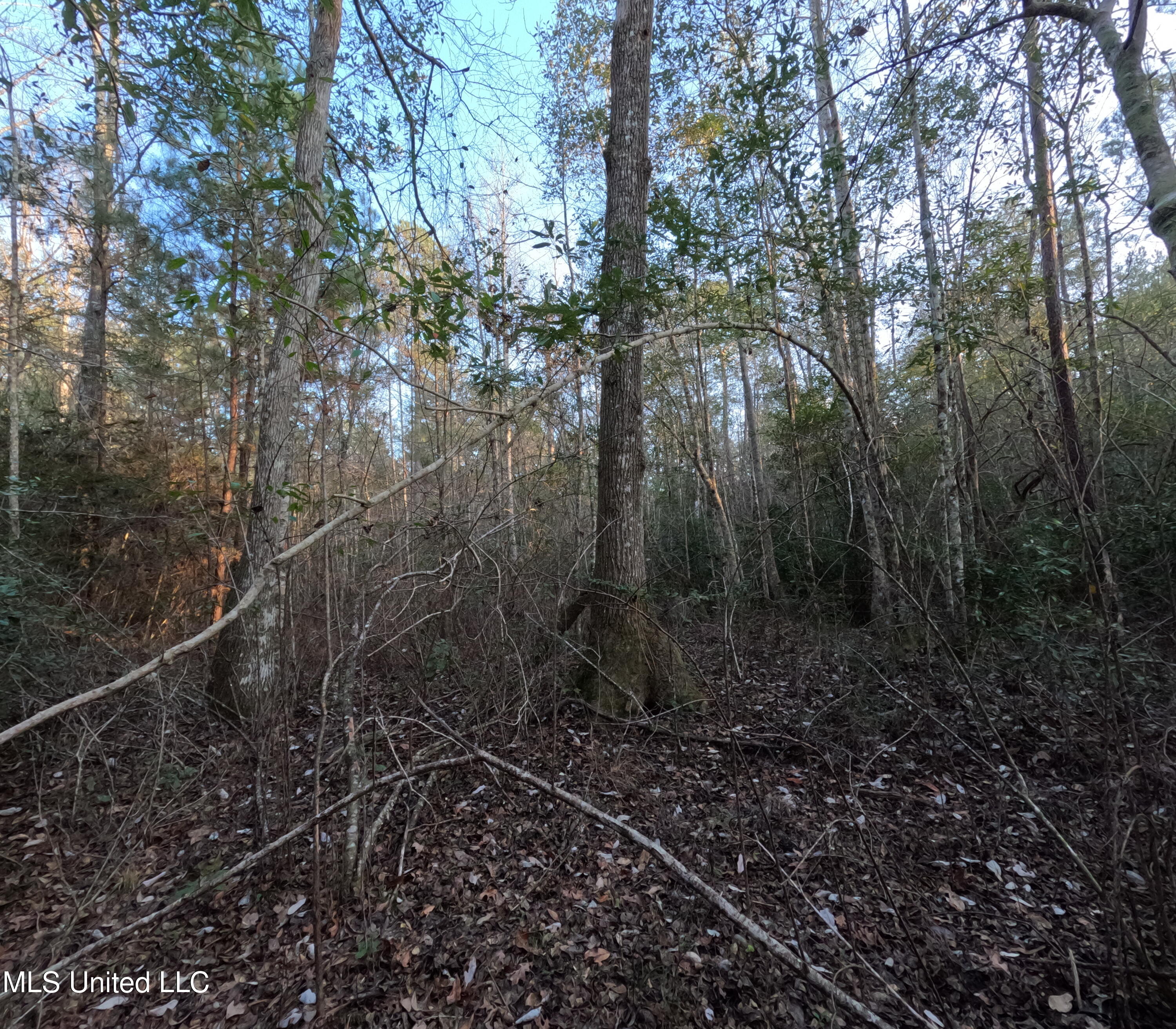S County Line Road Property Photo 28