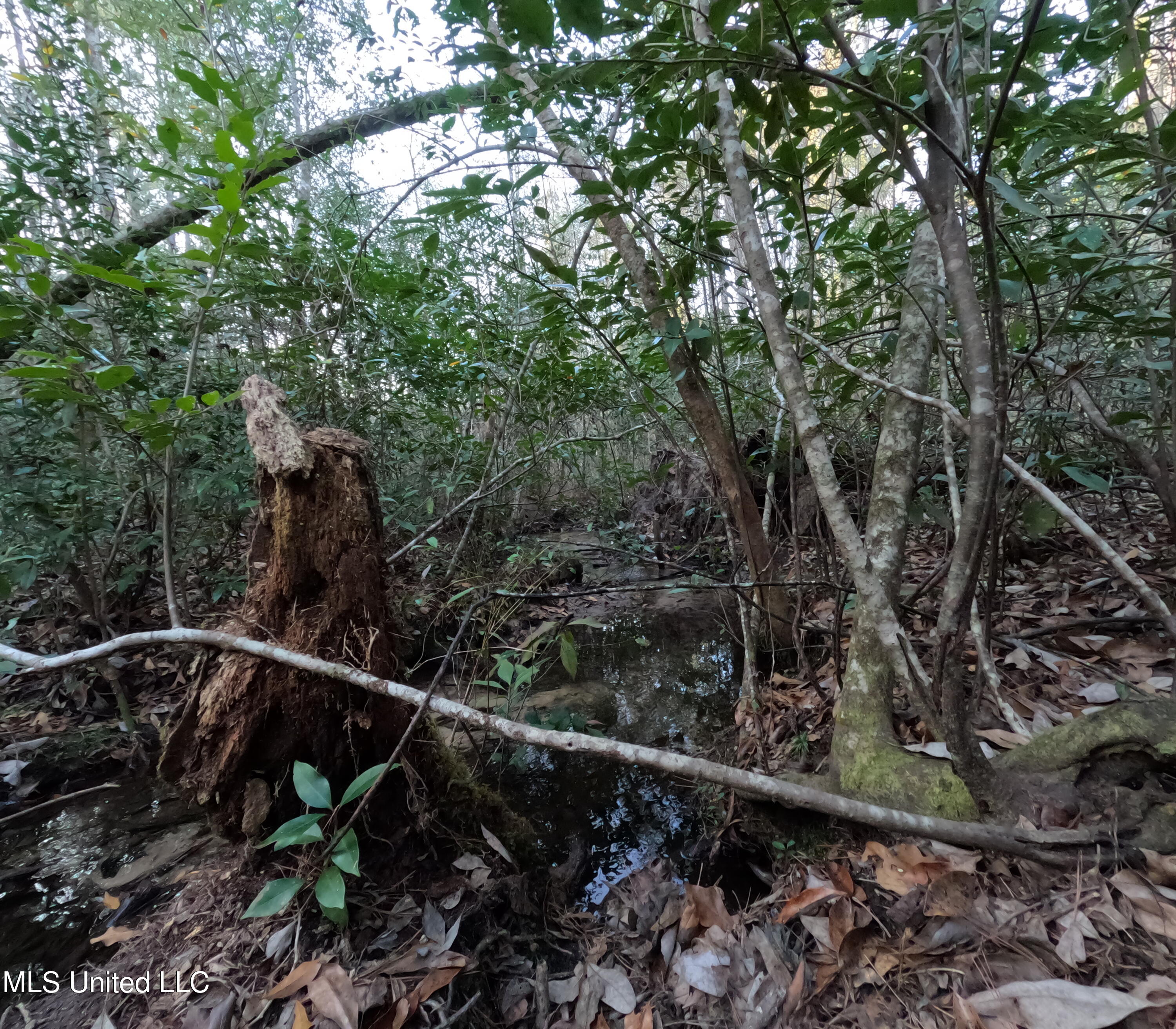 S County Line Road Property Photo 30