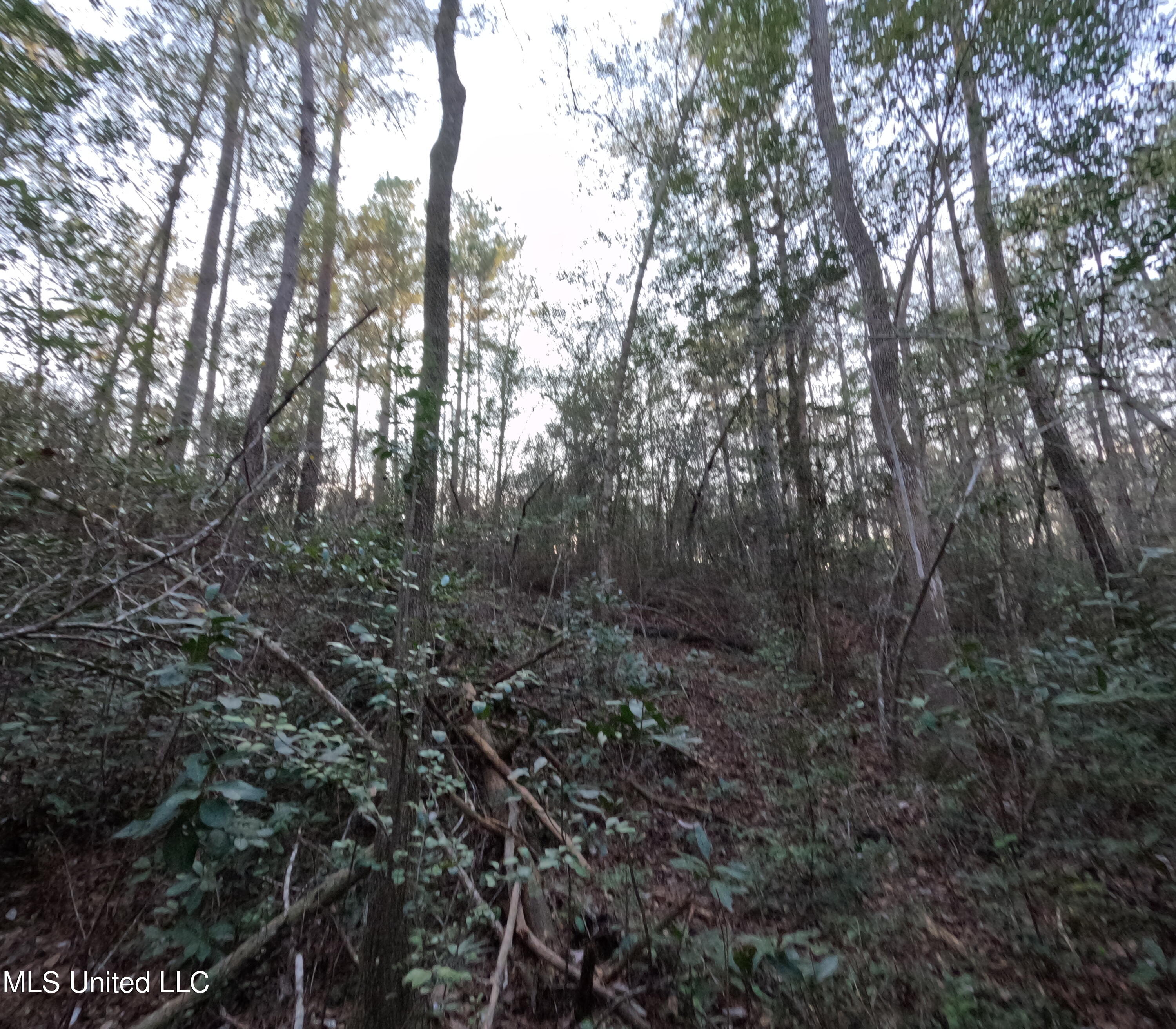 S County Line Road Property Photo 31