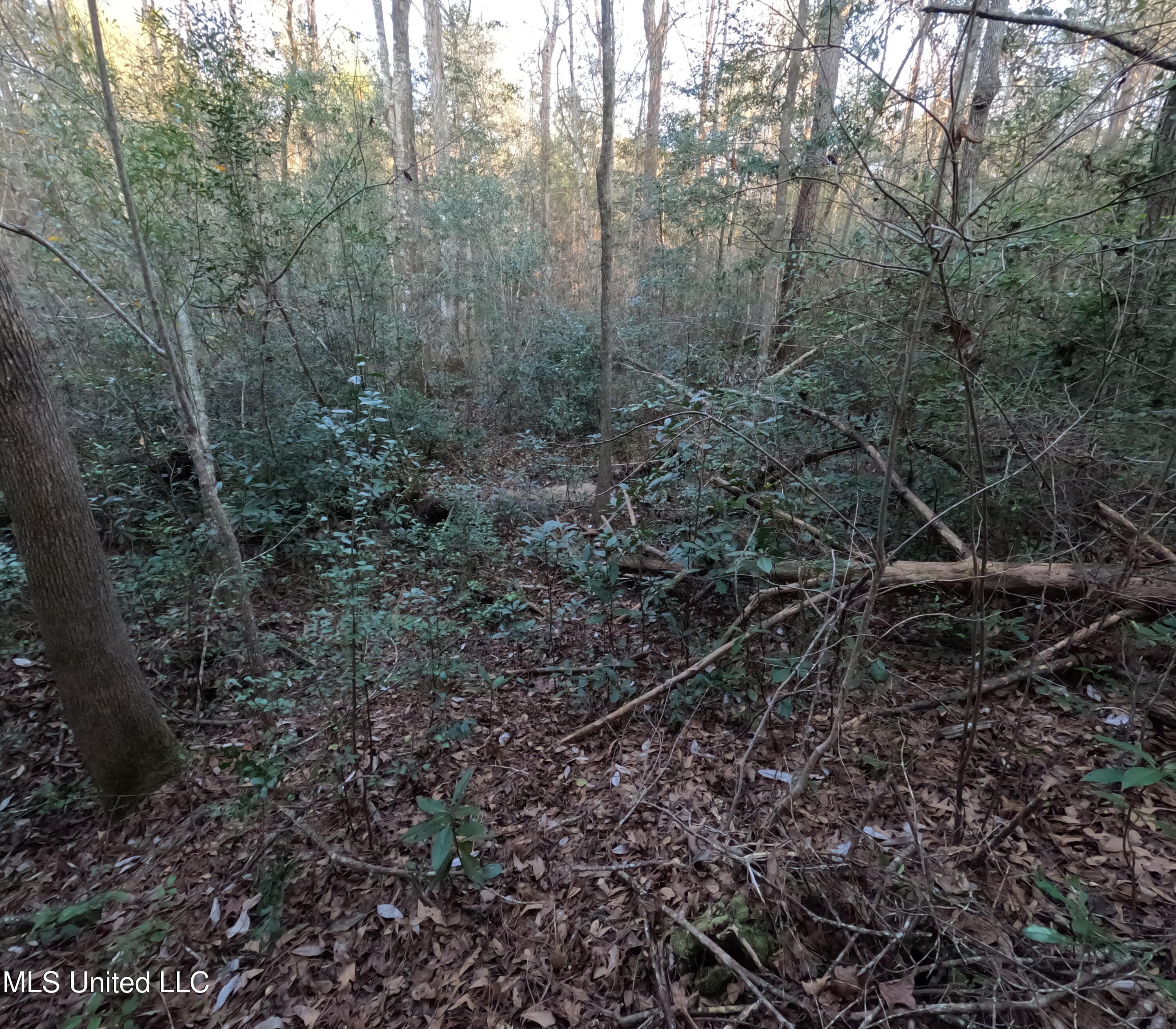 S County Line Road Property Photo 32