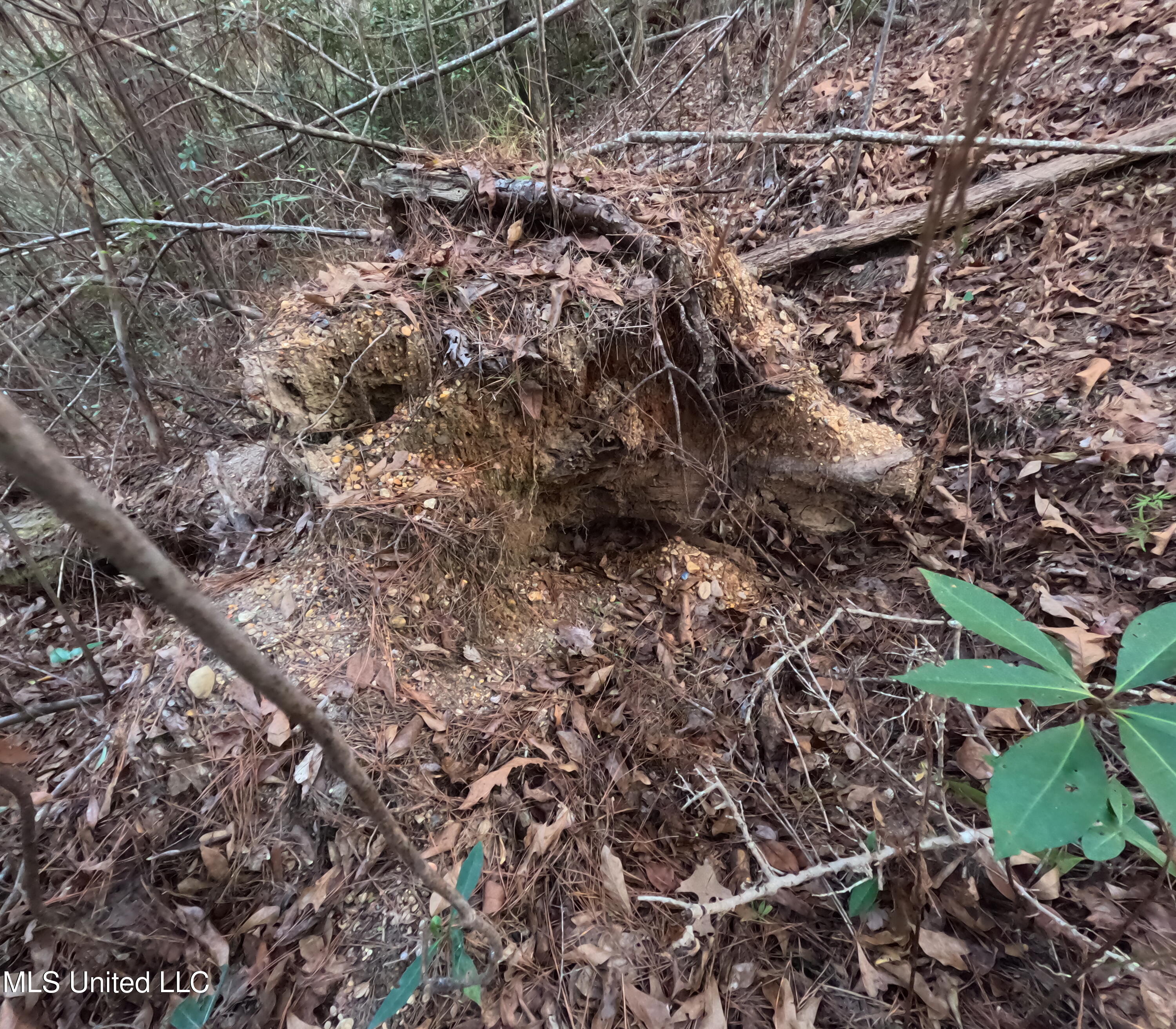 S County Line Road Property Photo 33