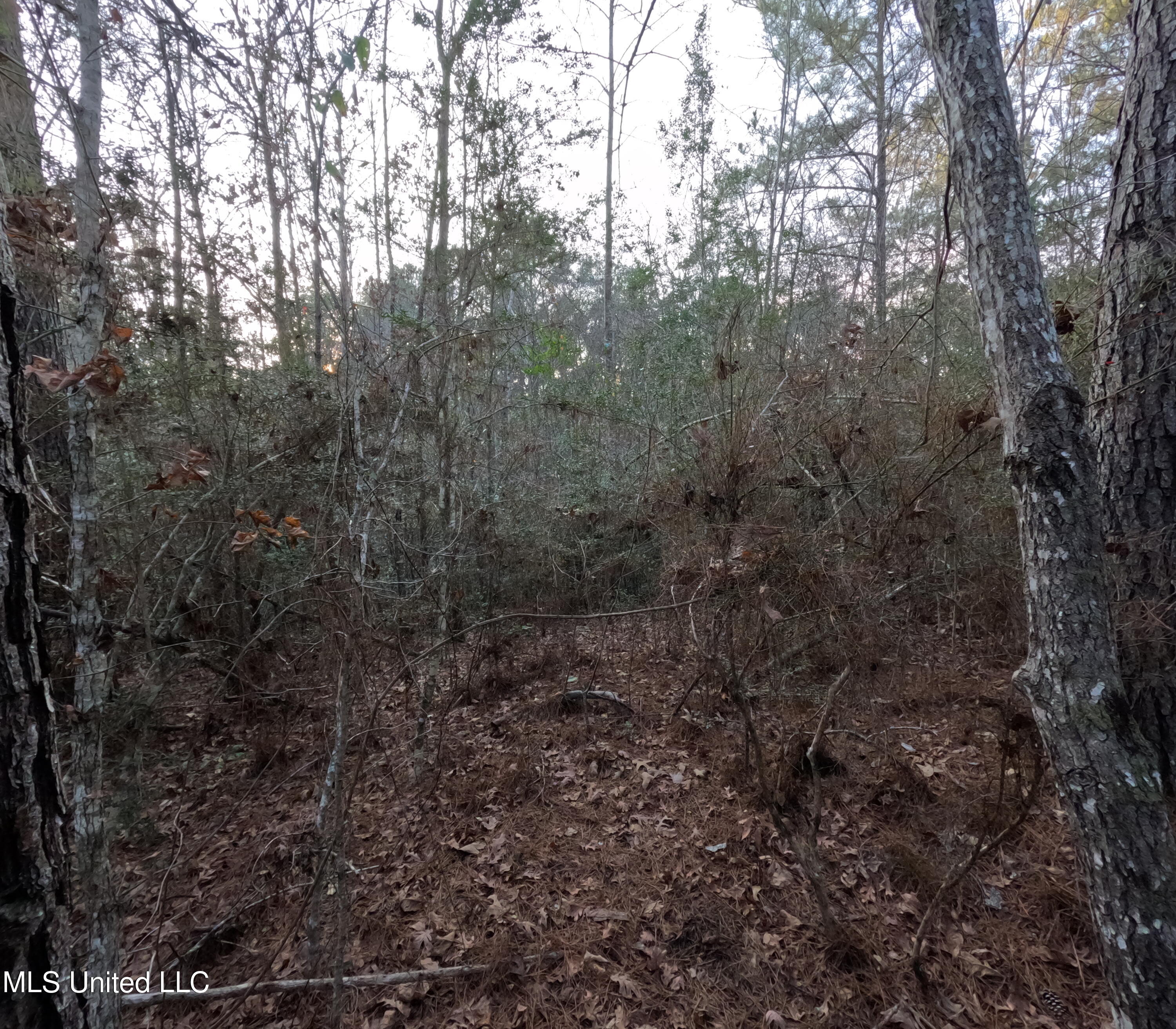 S County Line Road Property Photo 34