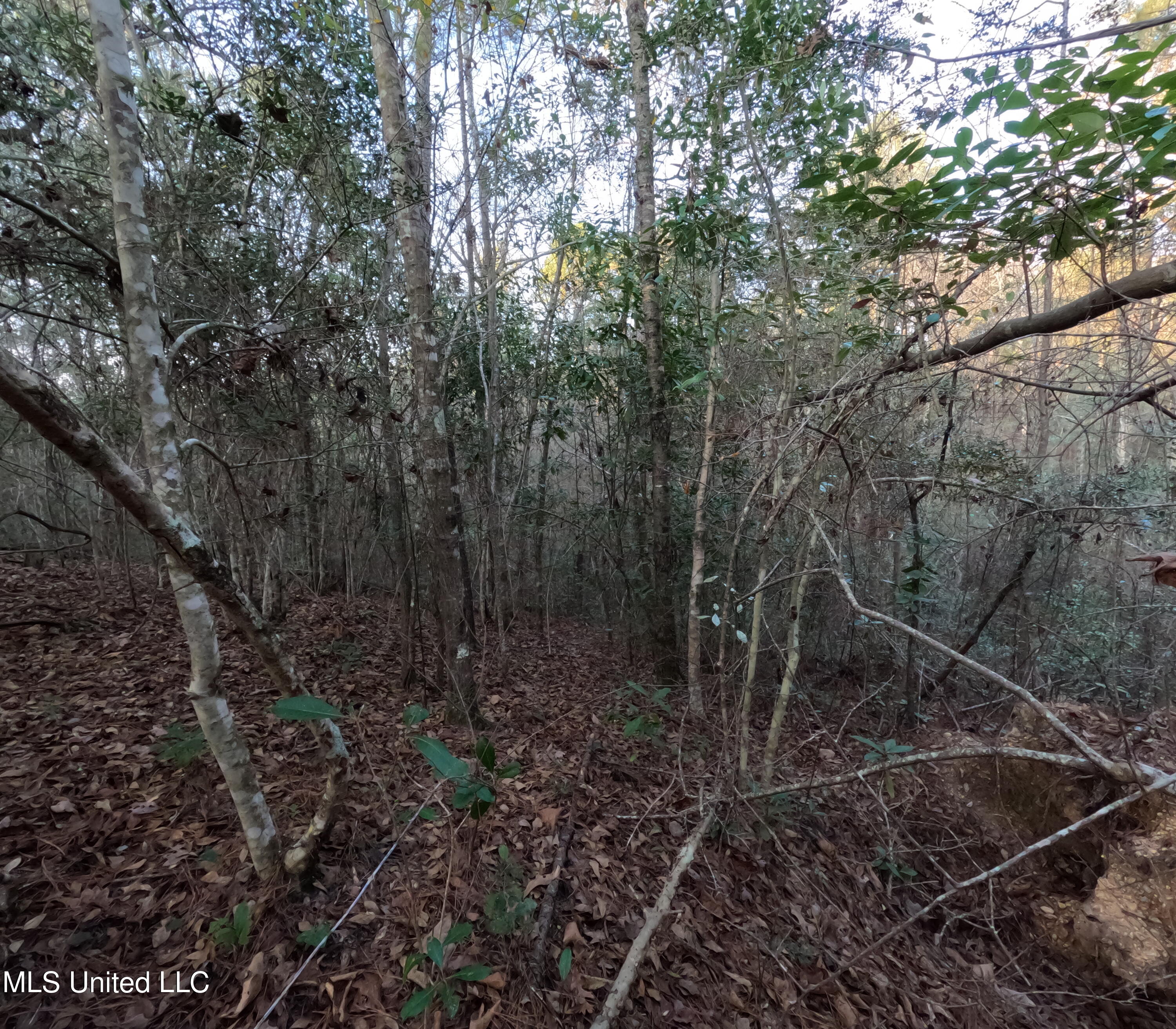 S County Line Road Property Photo 35