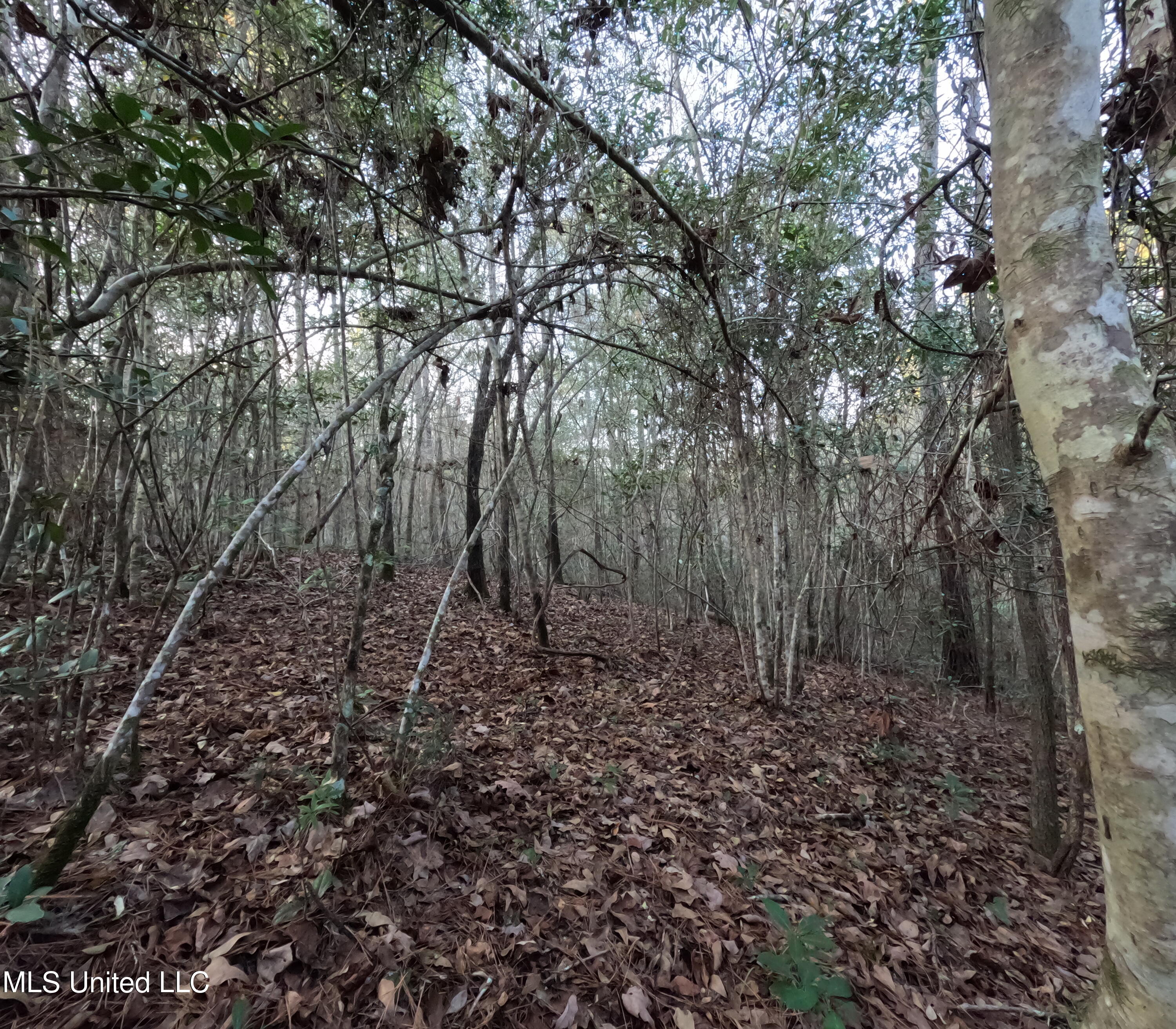 S County Line Road Property Photo 36