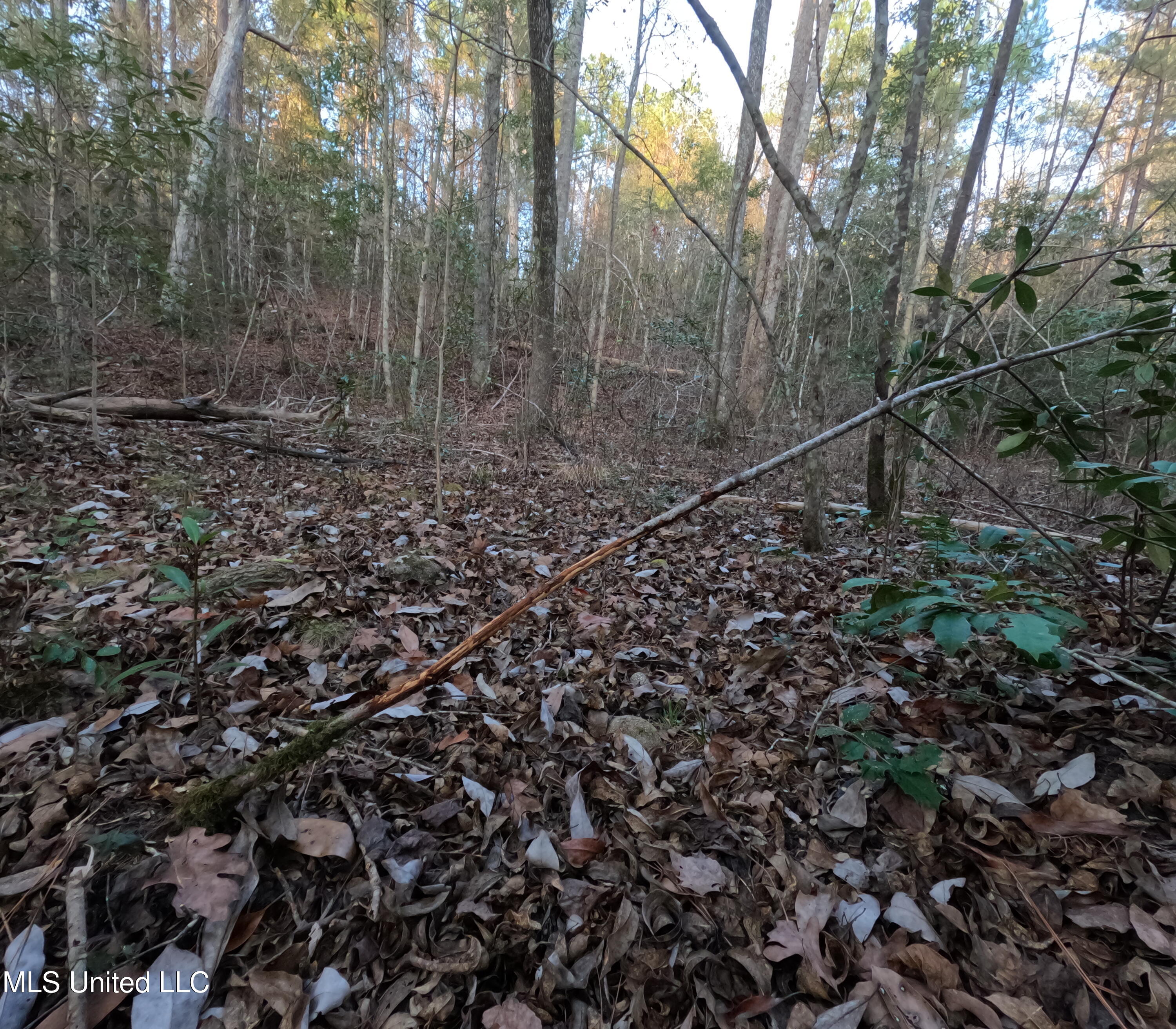 S County Line Road Property Photo 38