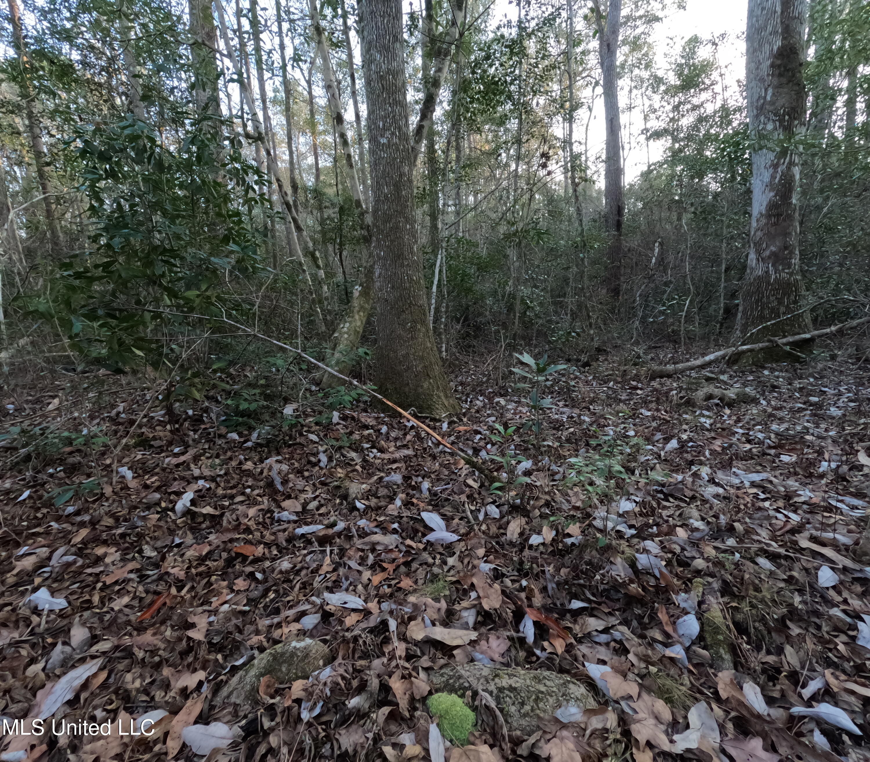 S County Line Road Property Photo 39