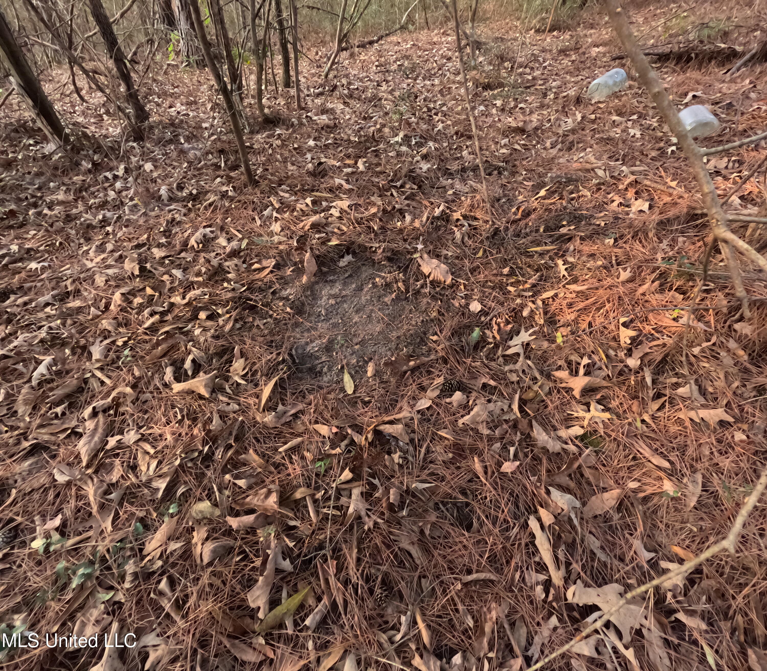 S County Line Road Property Photo 40