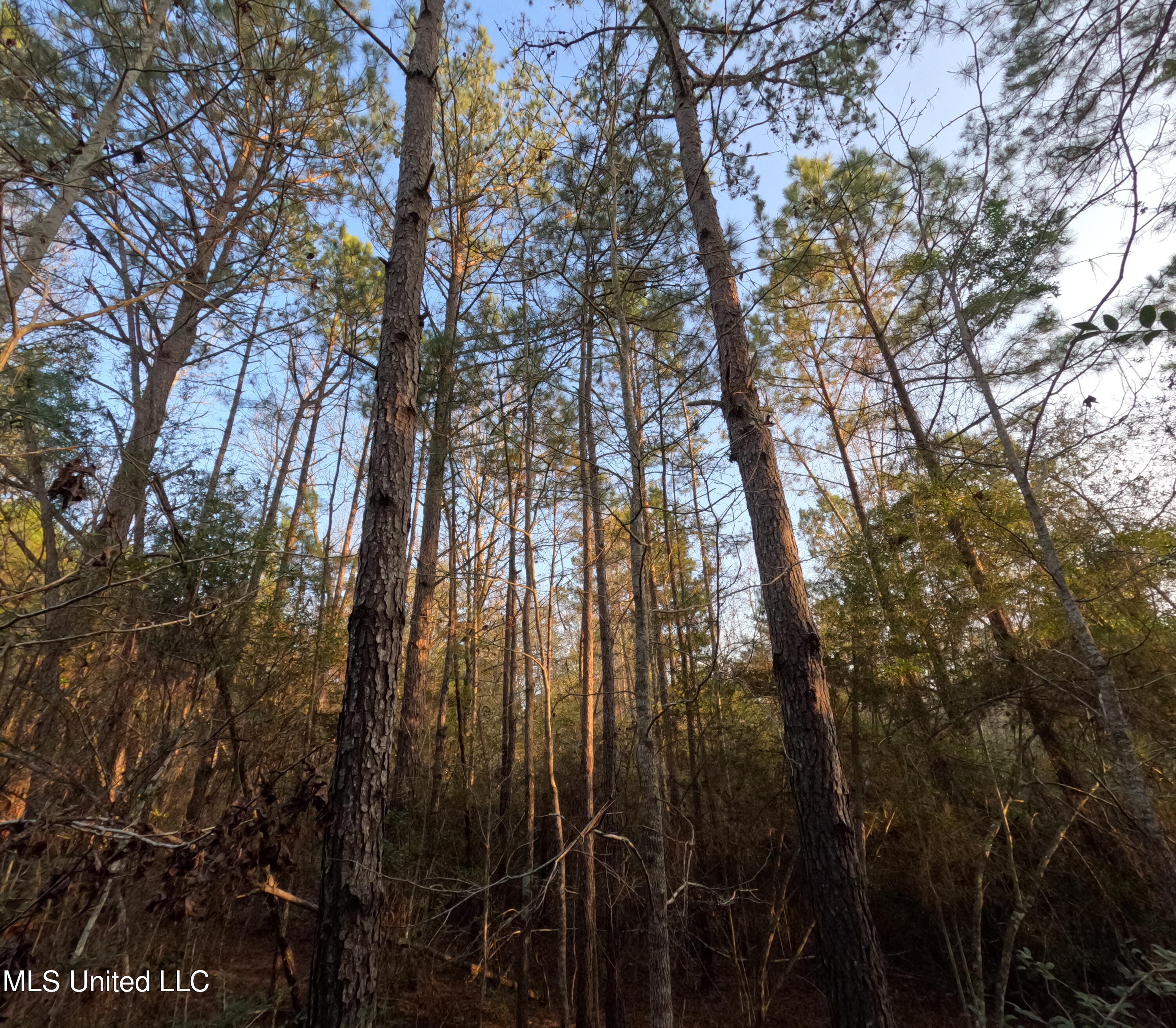 S County Line Road Property Photo 41