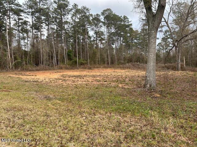1028 Chester Reeves Road Property Photo 1