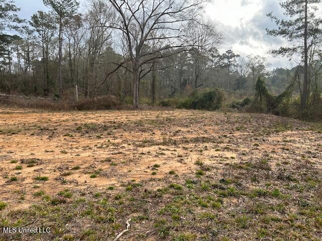 1028 Chester Reeves Road Property Photo 2