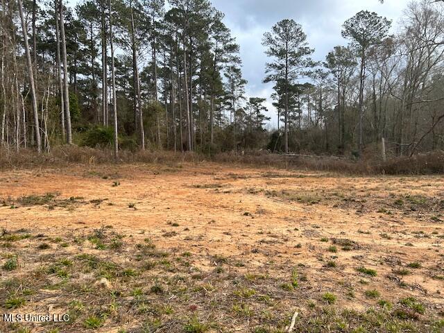 1028 Chester Reeves Road Property Photo 3