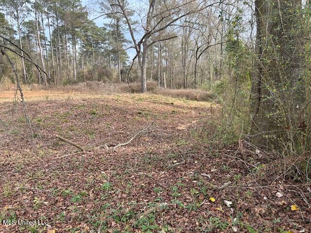 1028 Chester Reeves Road Property Photo 4