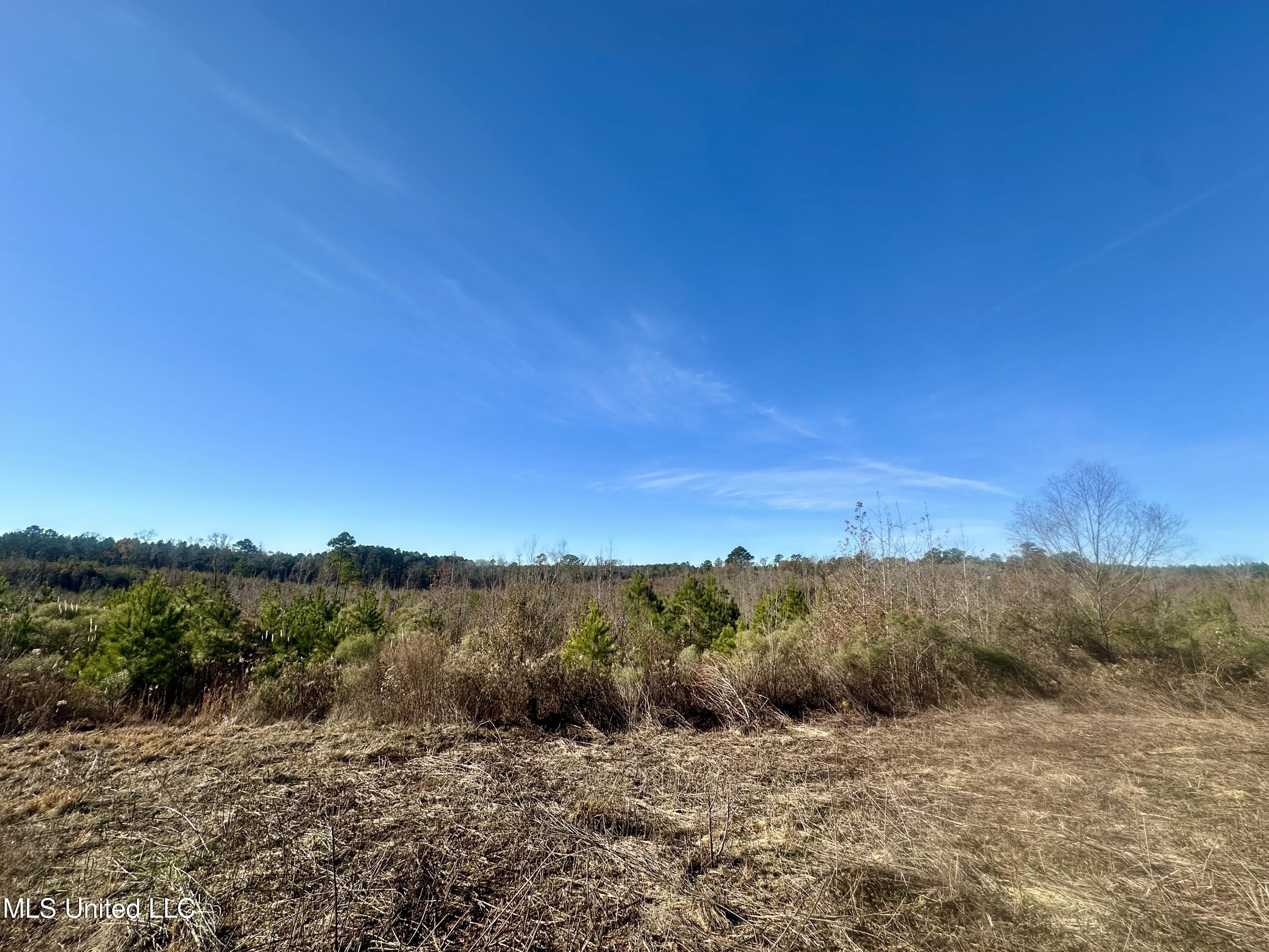 3438 Attala Rd 3027 Property Photo 9