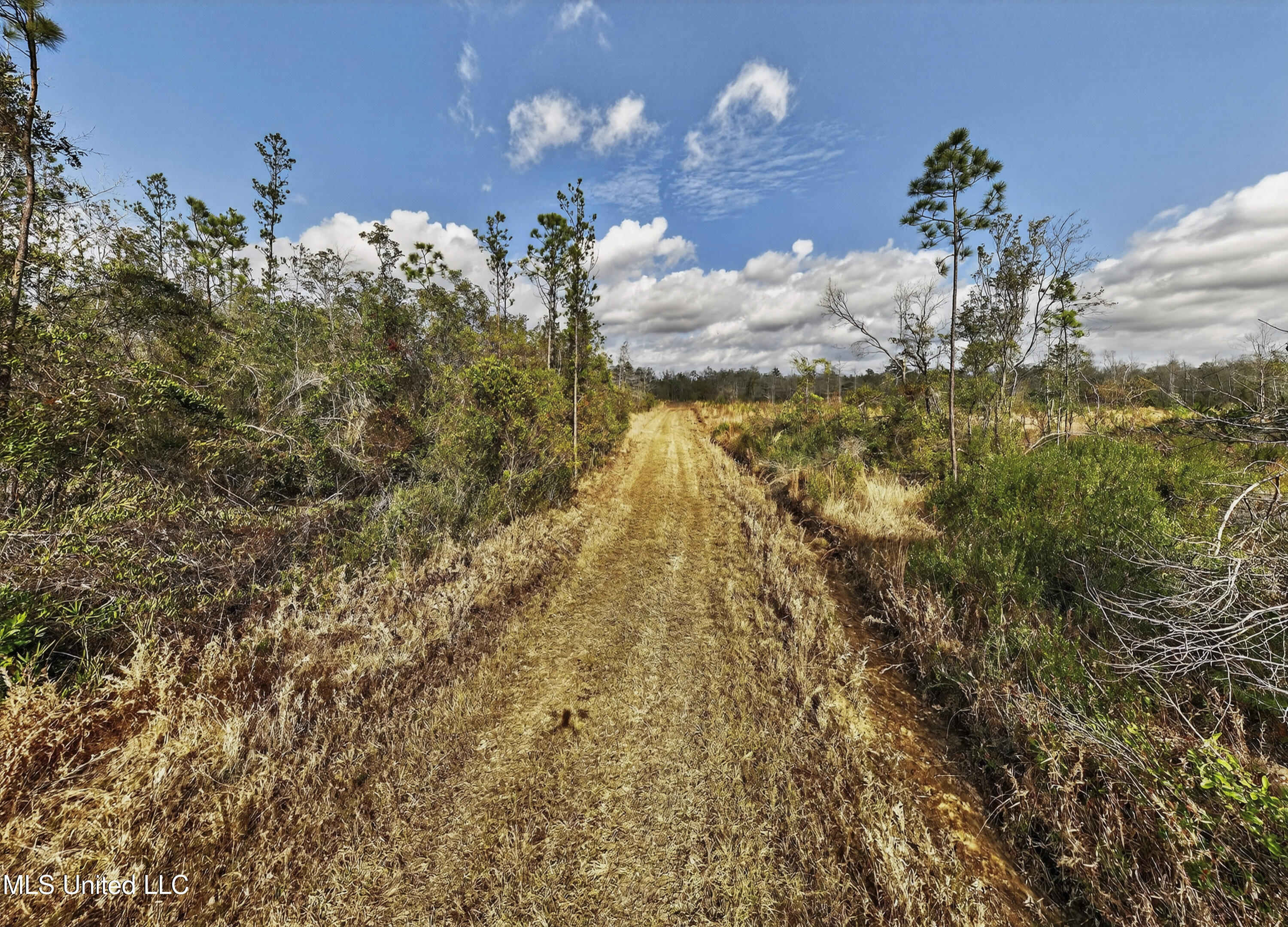 745+- Ac Moody Road Property Photo 13