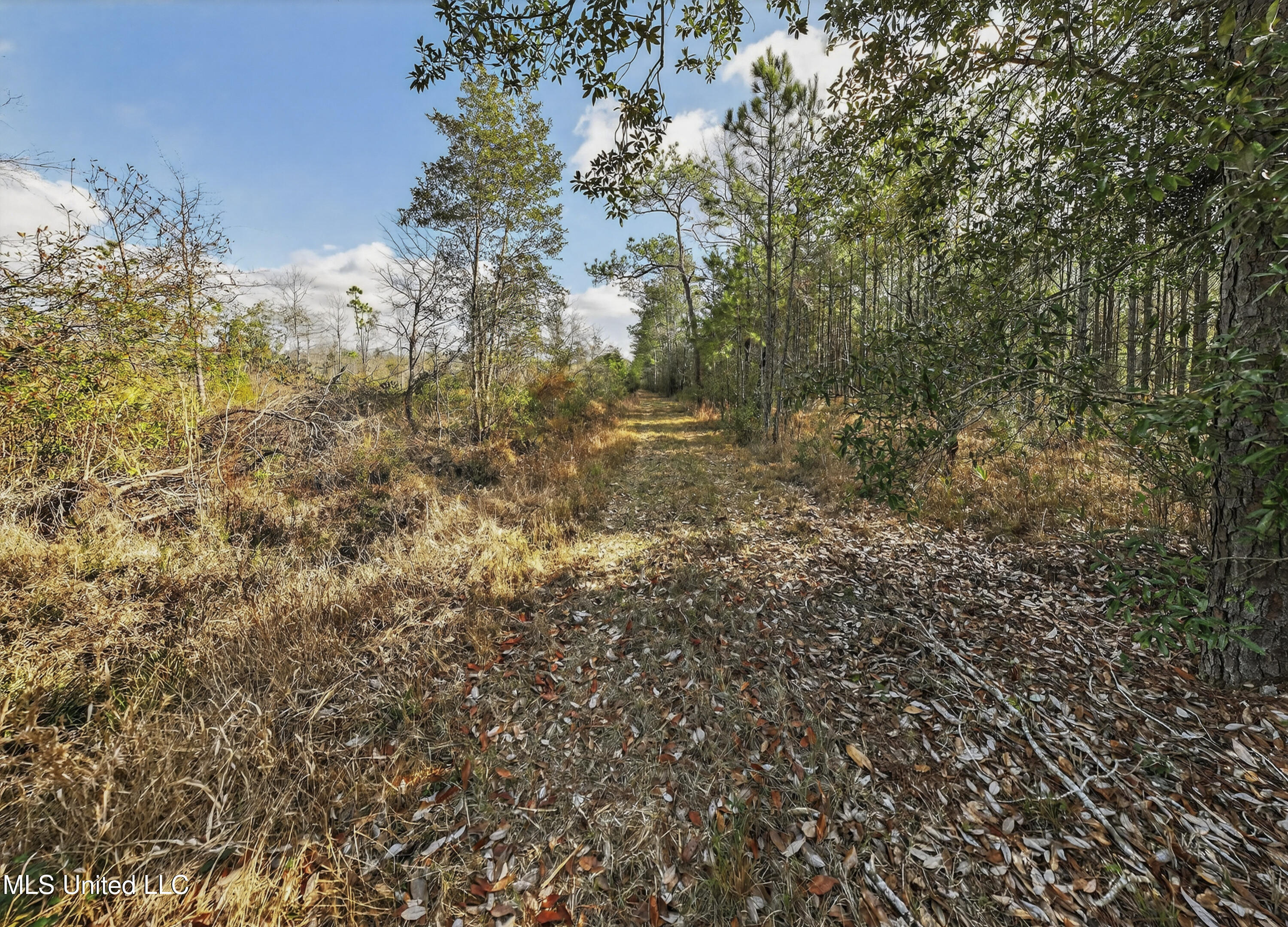 745+- Ac Moody Road Property Photo 14