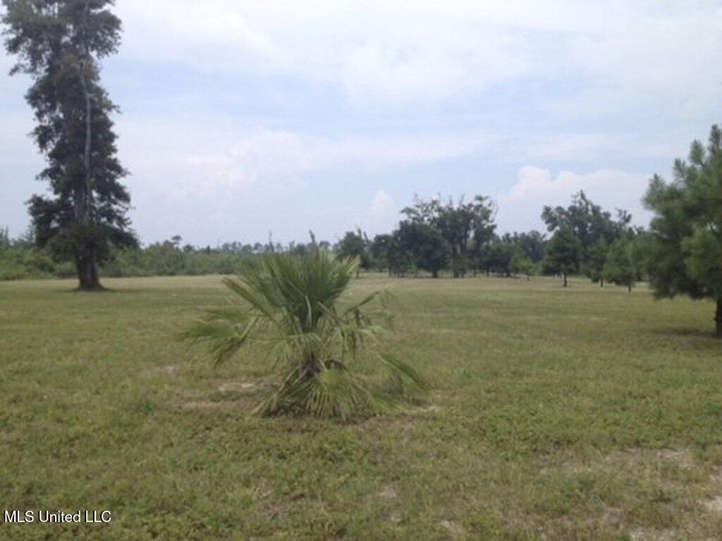 26300 Highway 90 Property Photo 6