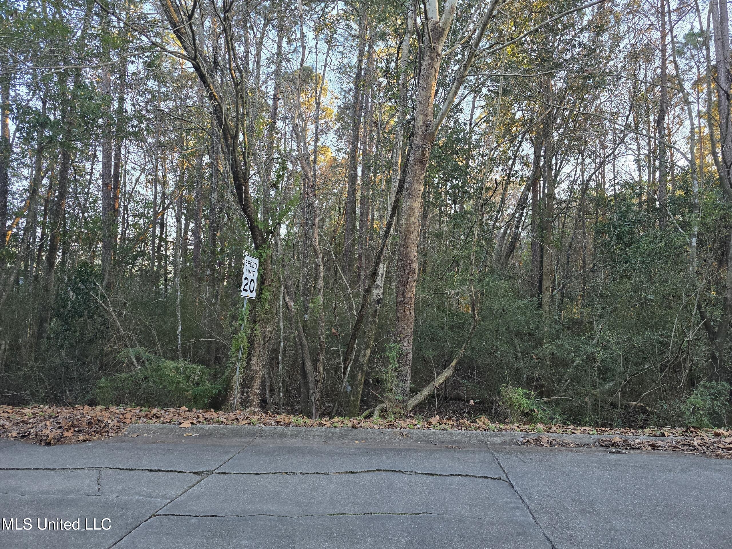 12310 Barbara Drive Property Photo 2
