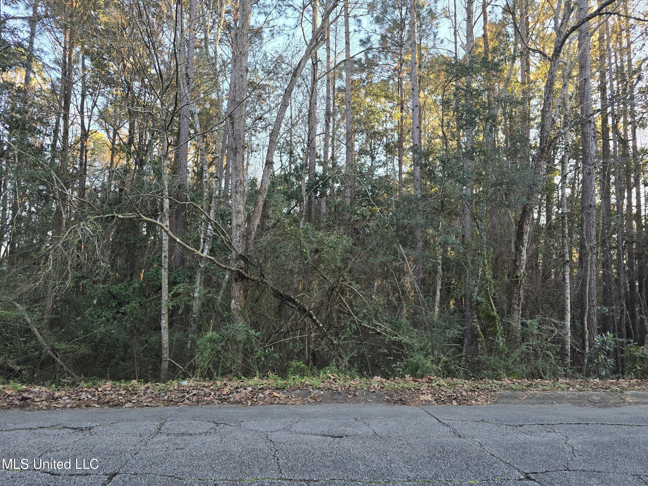 12310 Barbara Drive Property Photo 3