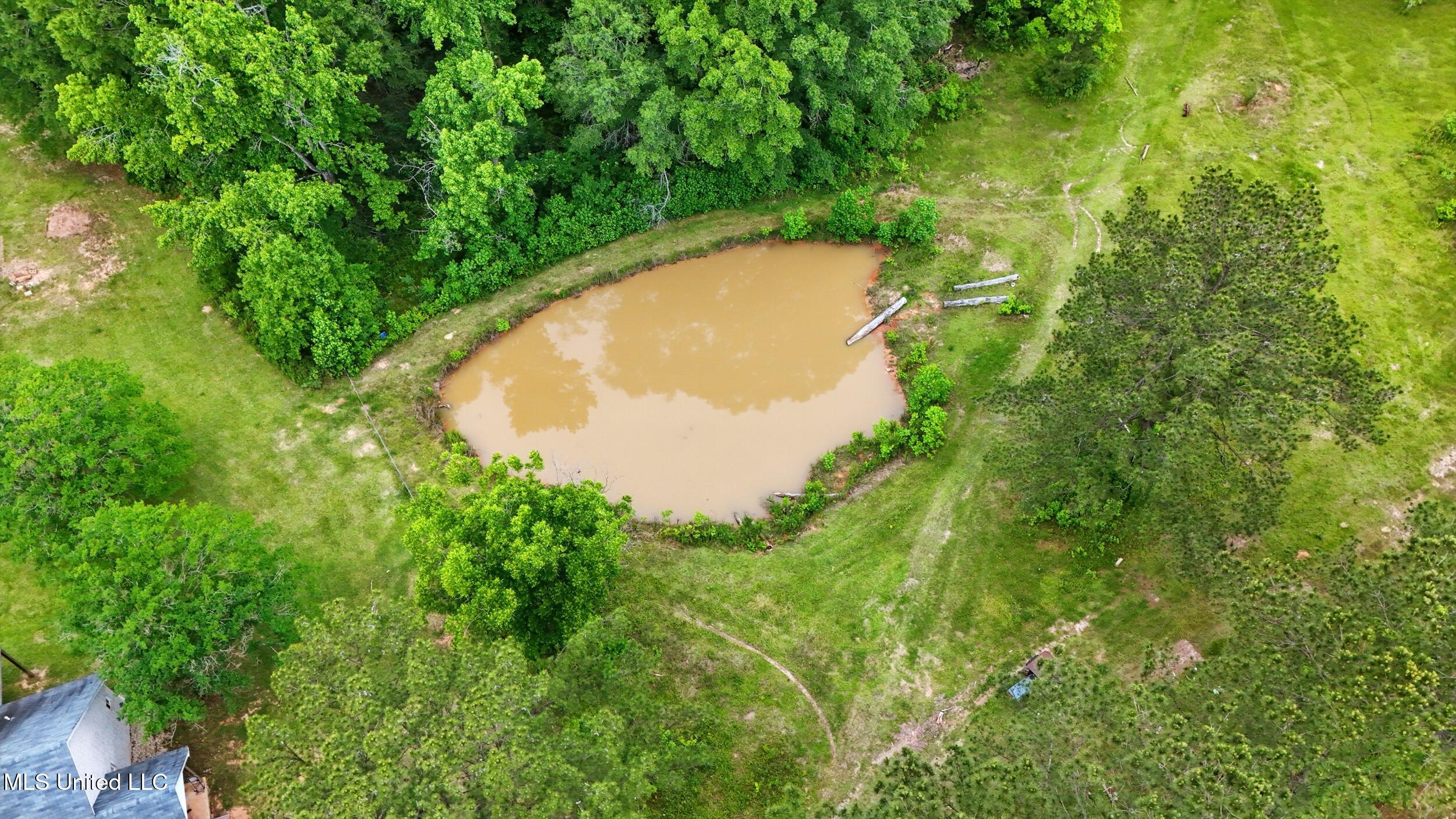 541 Old Ness Plantation Road Property Photo 6