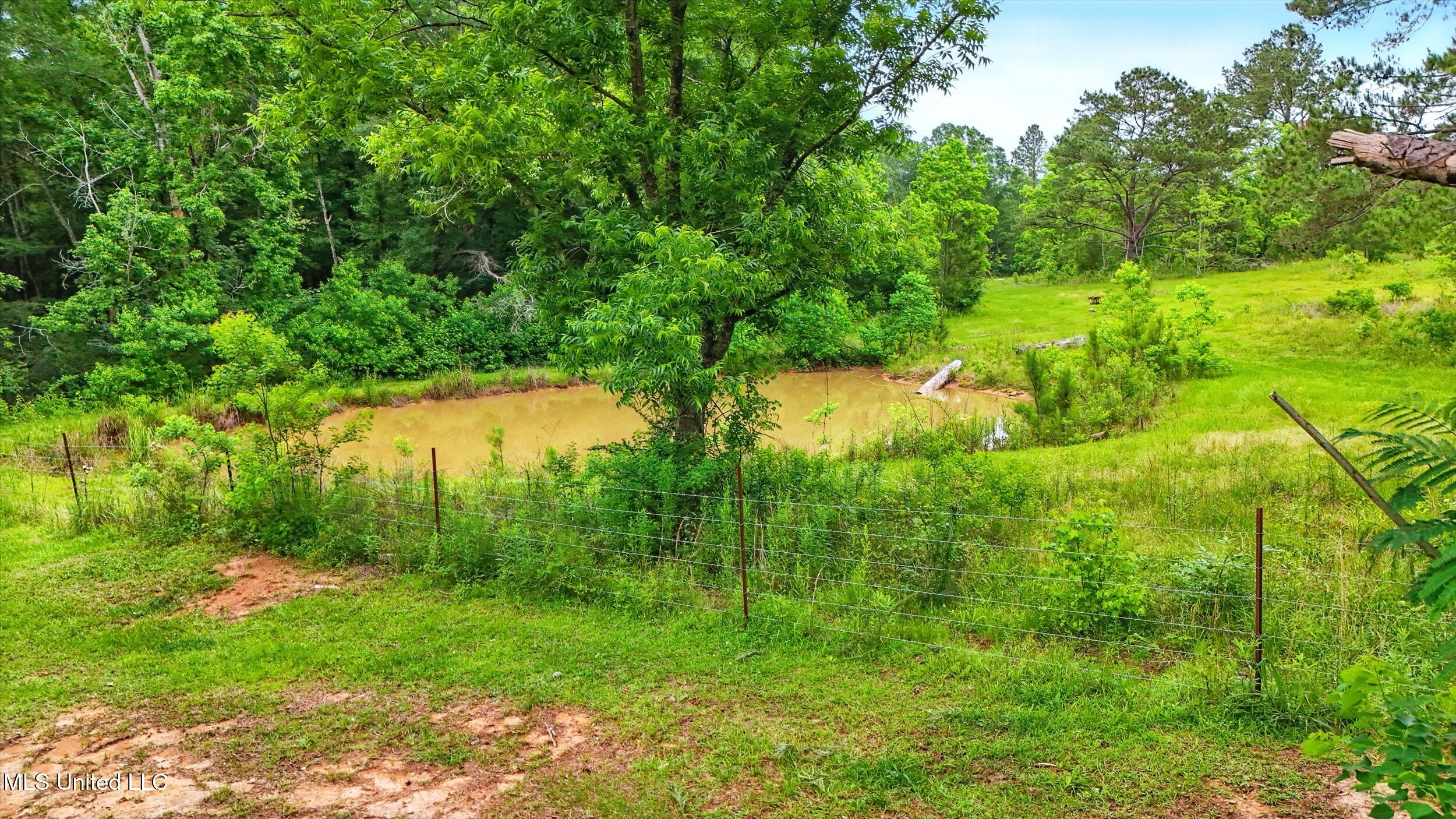 541 Old Ness Plantation Road Property Photo 7