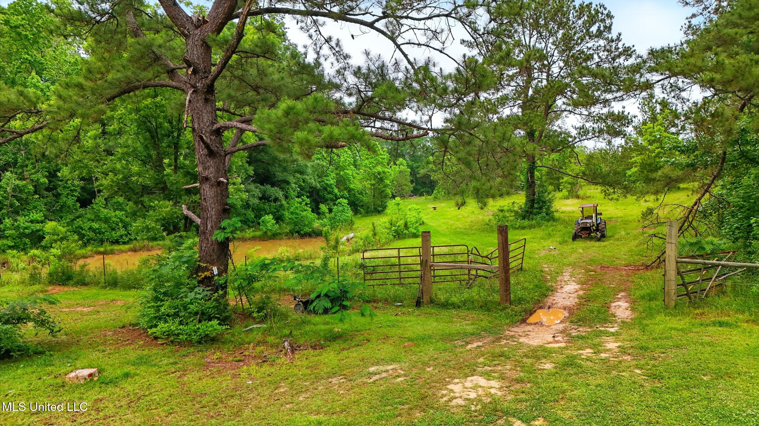 541 Old Ness Plantation Road Property Photo 8