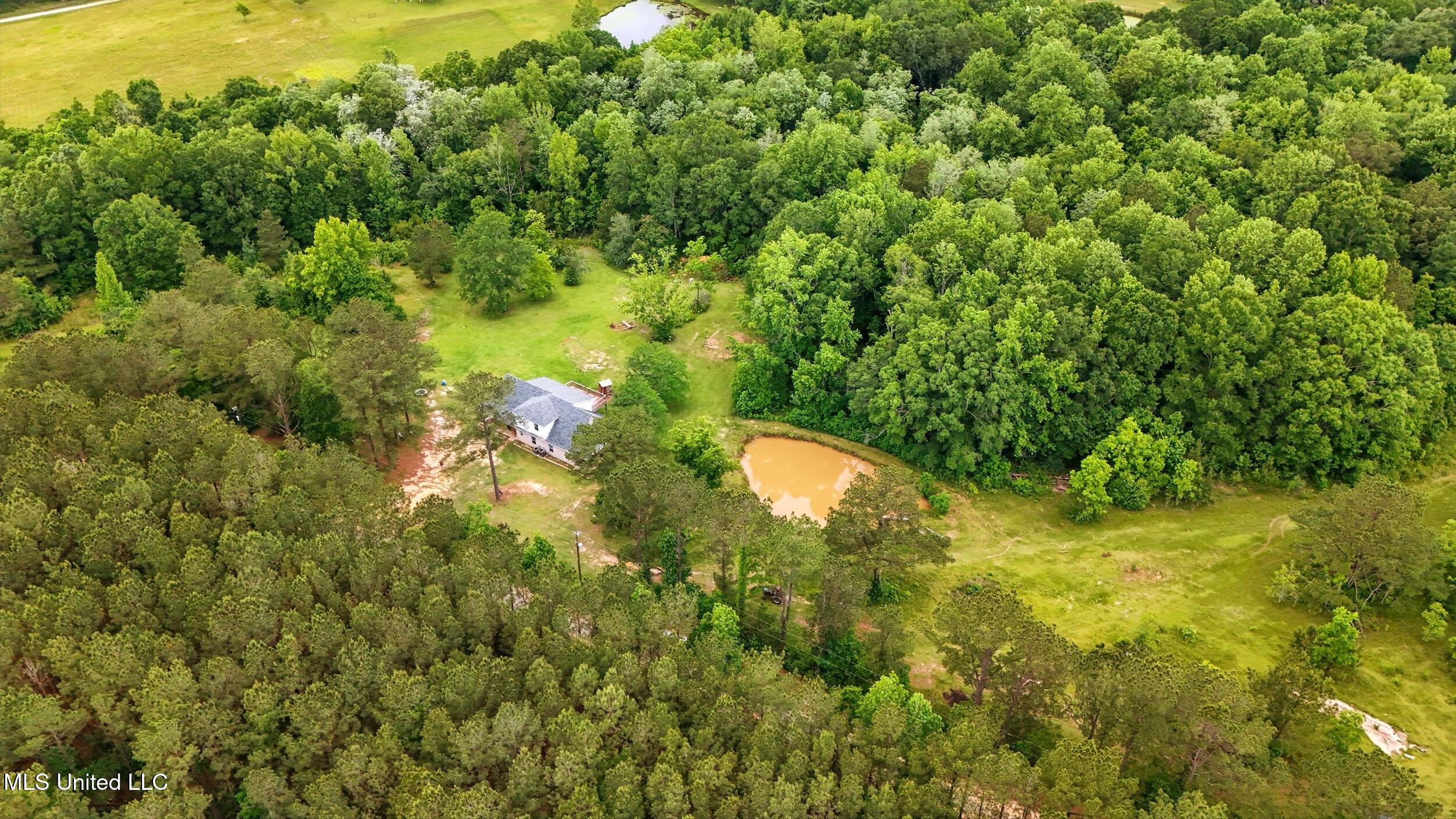 541 Old Ness Plantation Road Property Photo 11