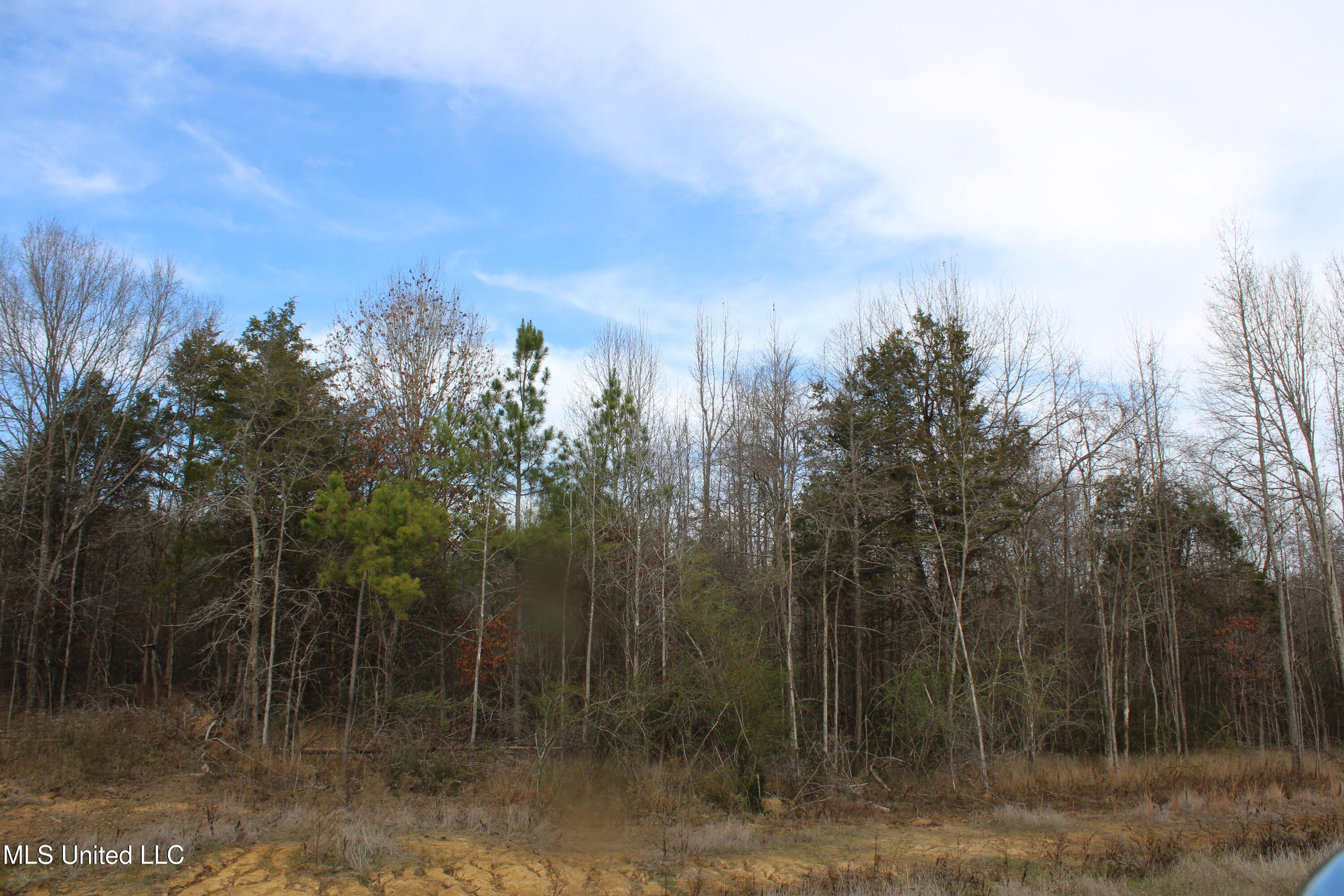 3466 Bethel Road Property Photo 21