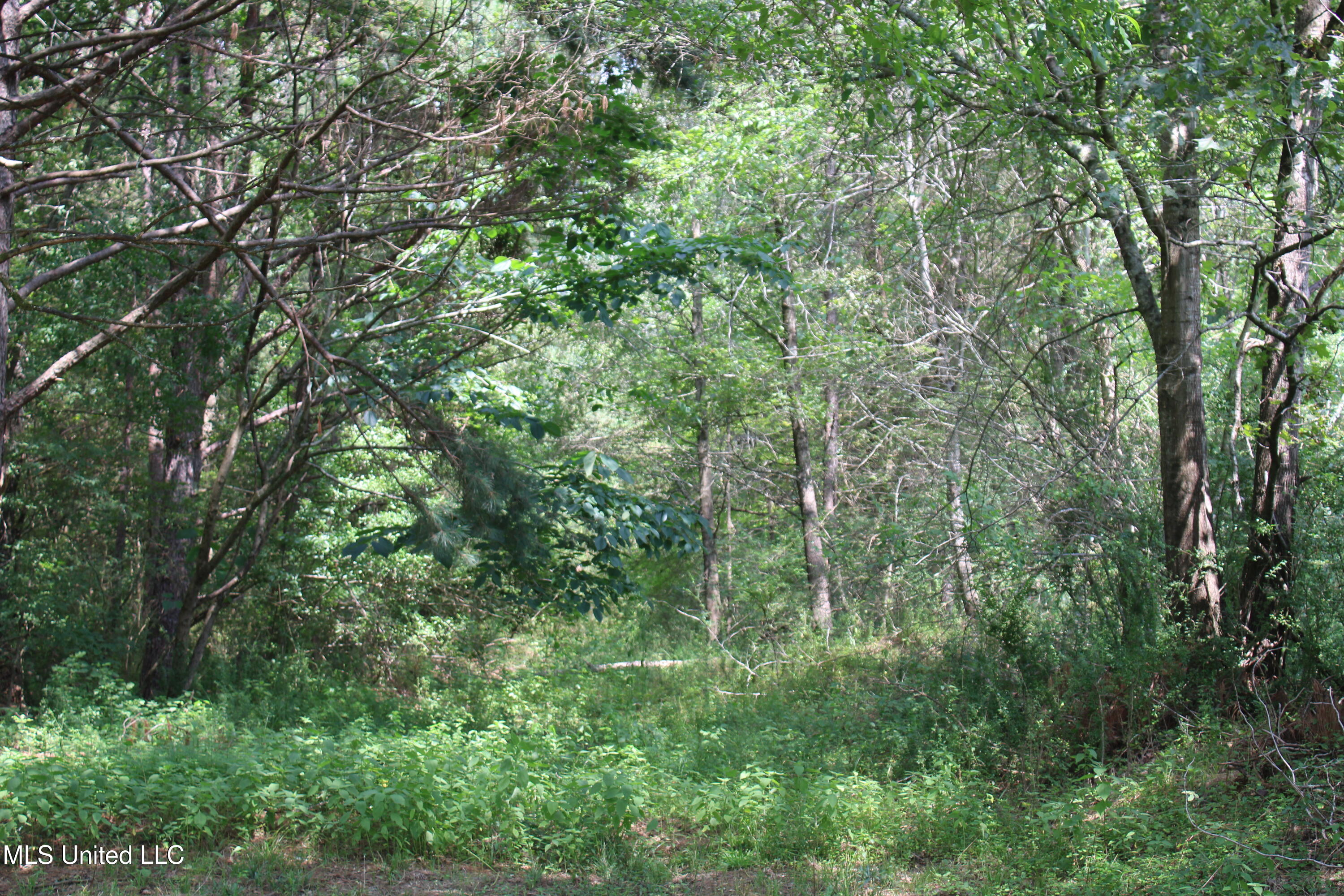 3466 Bethel Road Property Photo 30