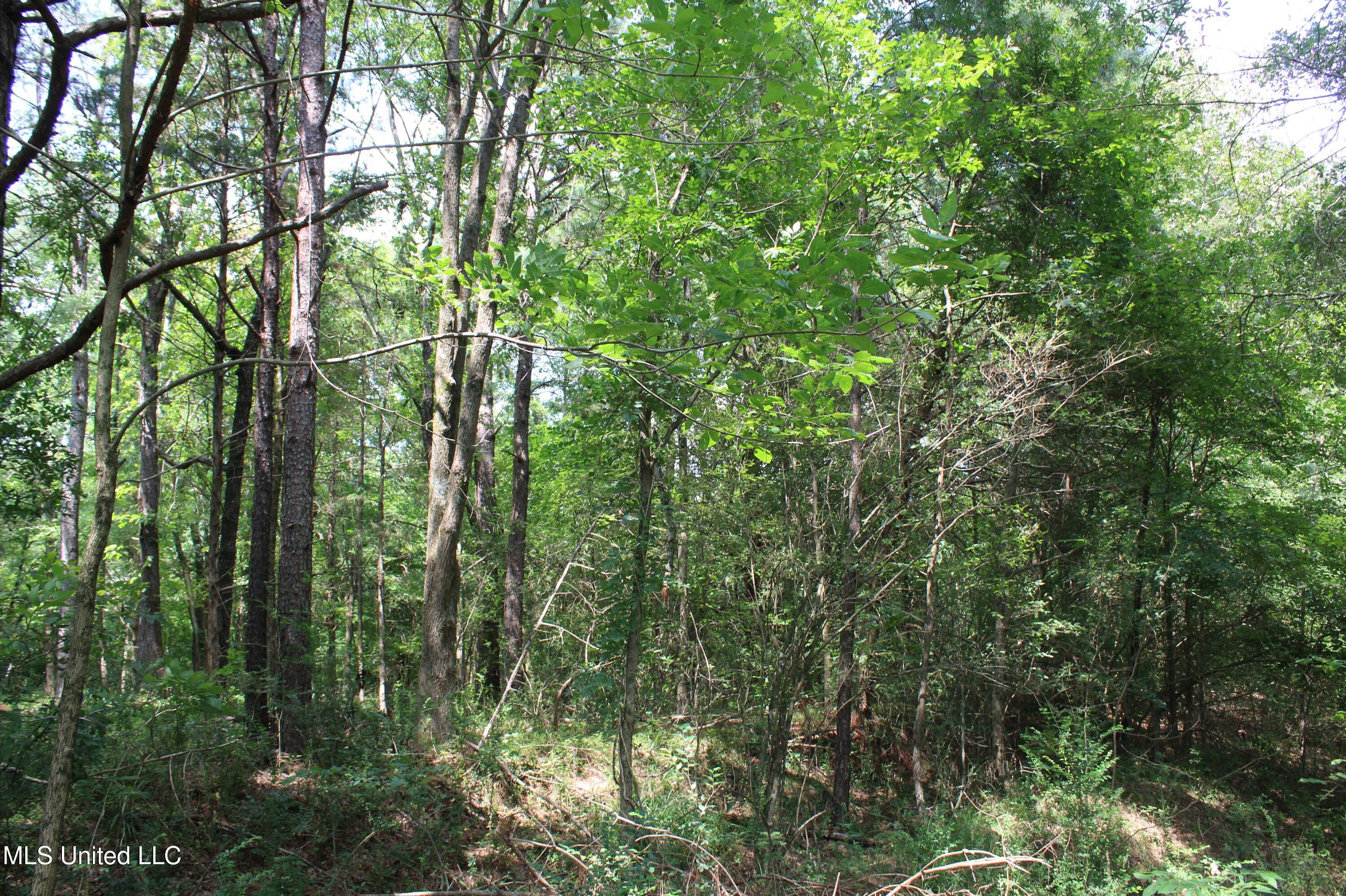 3466 Bethel Road Property Photo 31