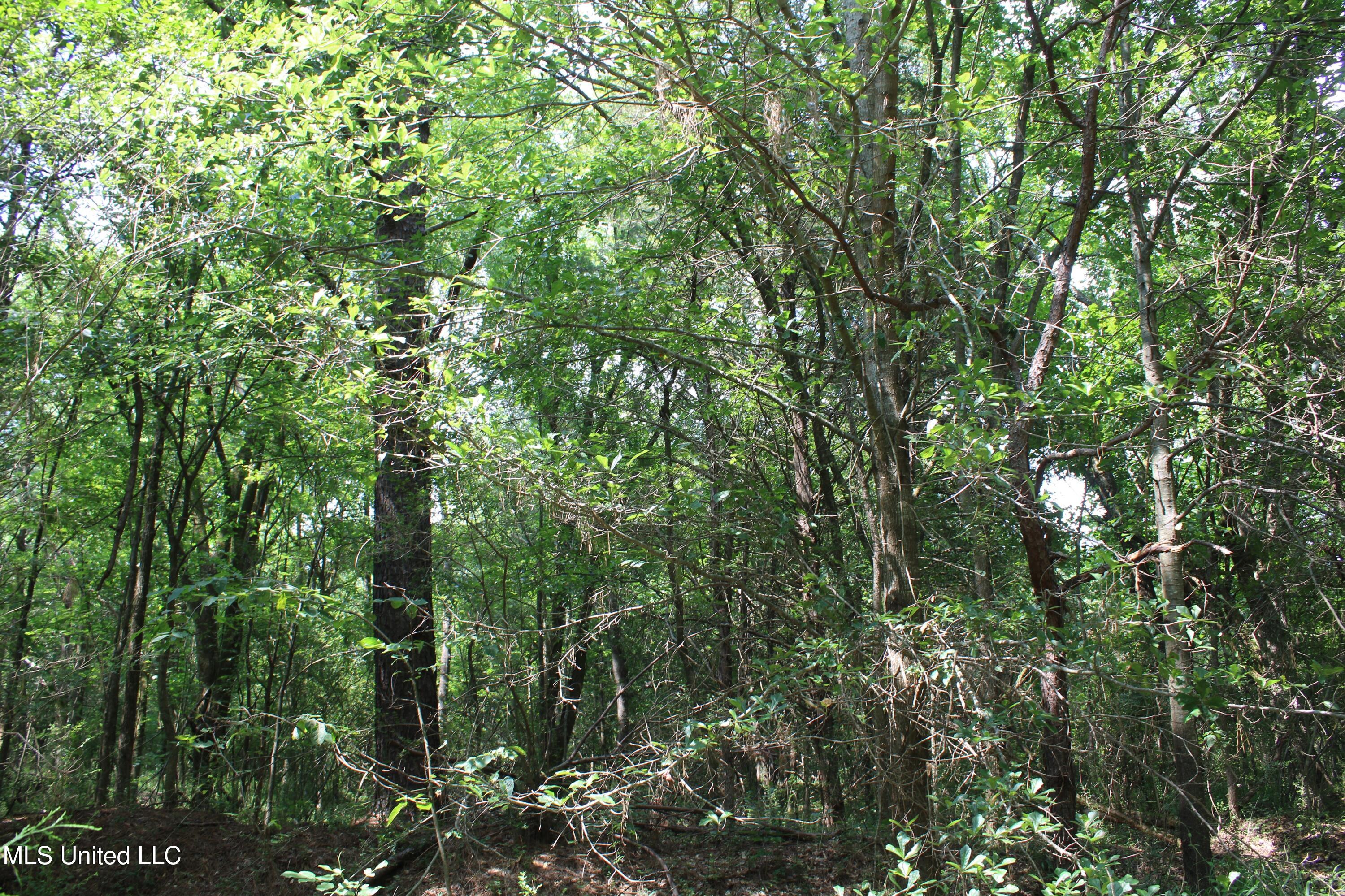 3466 Bethel Road Property Photo 32