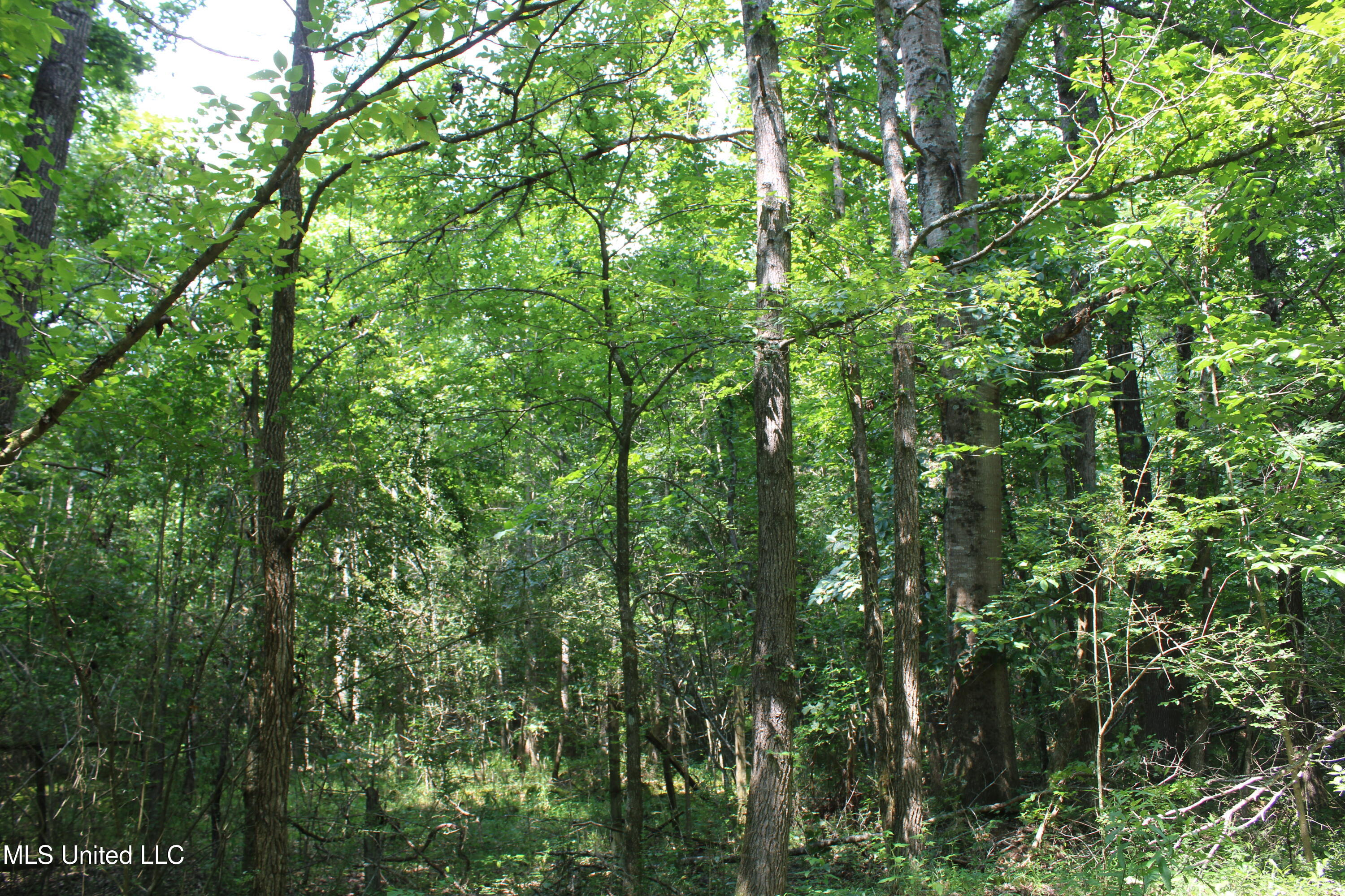 3466 Bethel Road Property Photo 35