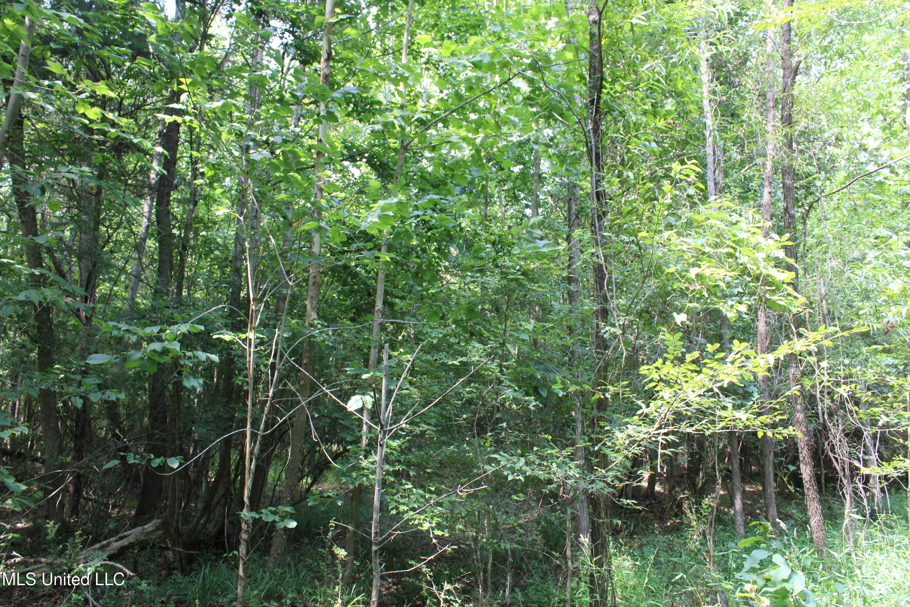 3466 Bethel Road Property Photo 39