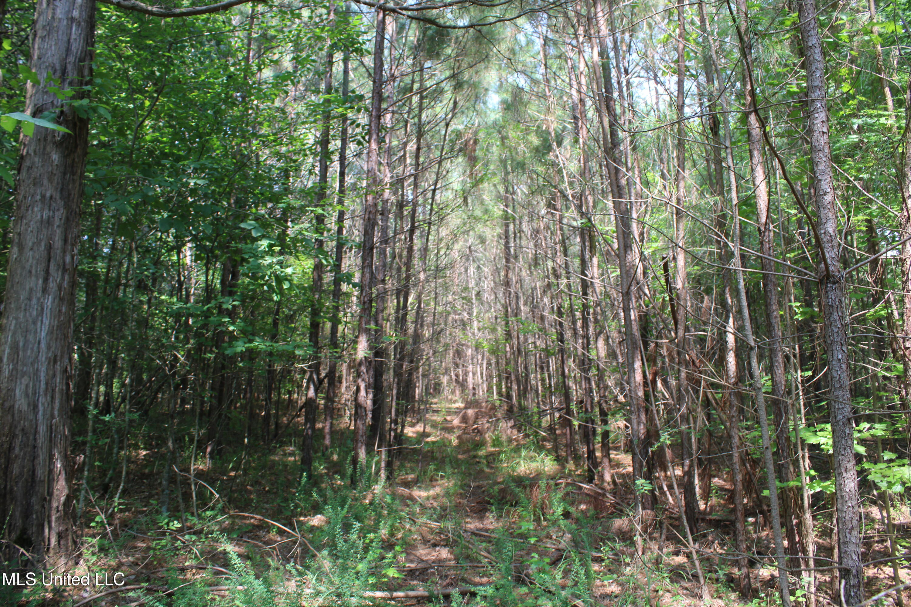 3466 Bethel Road Property Photo 44