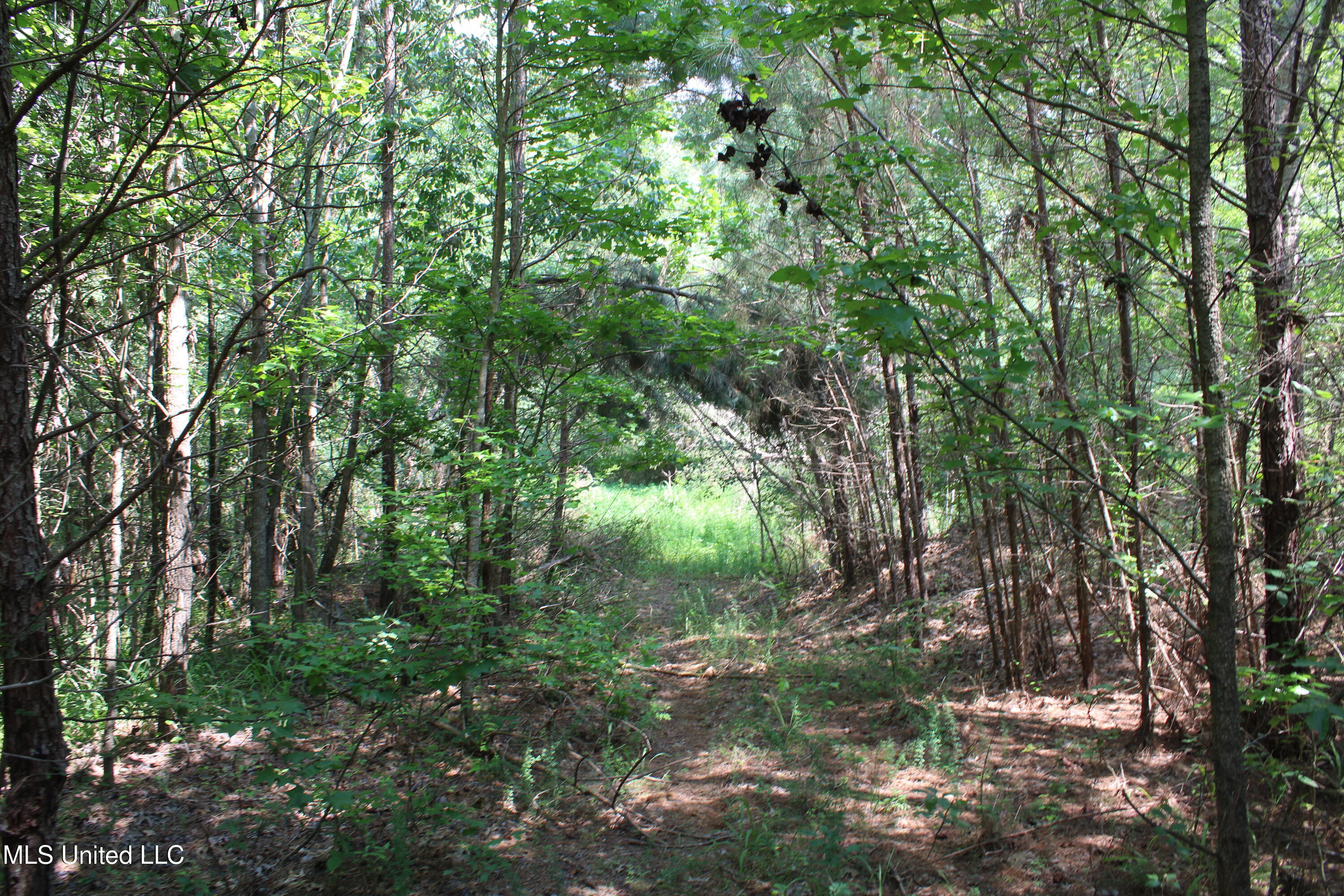 3466 Bethel Road Property Photo 46