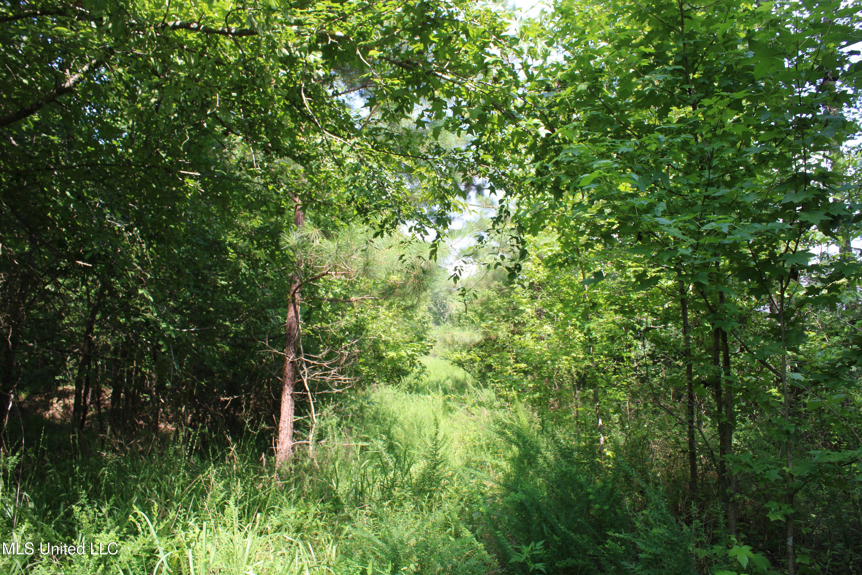 3466 Bethel Road Property Photo 48