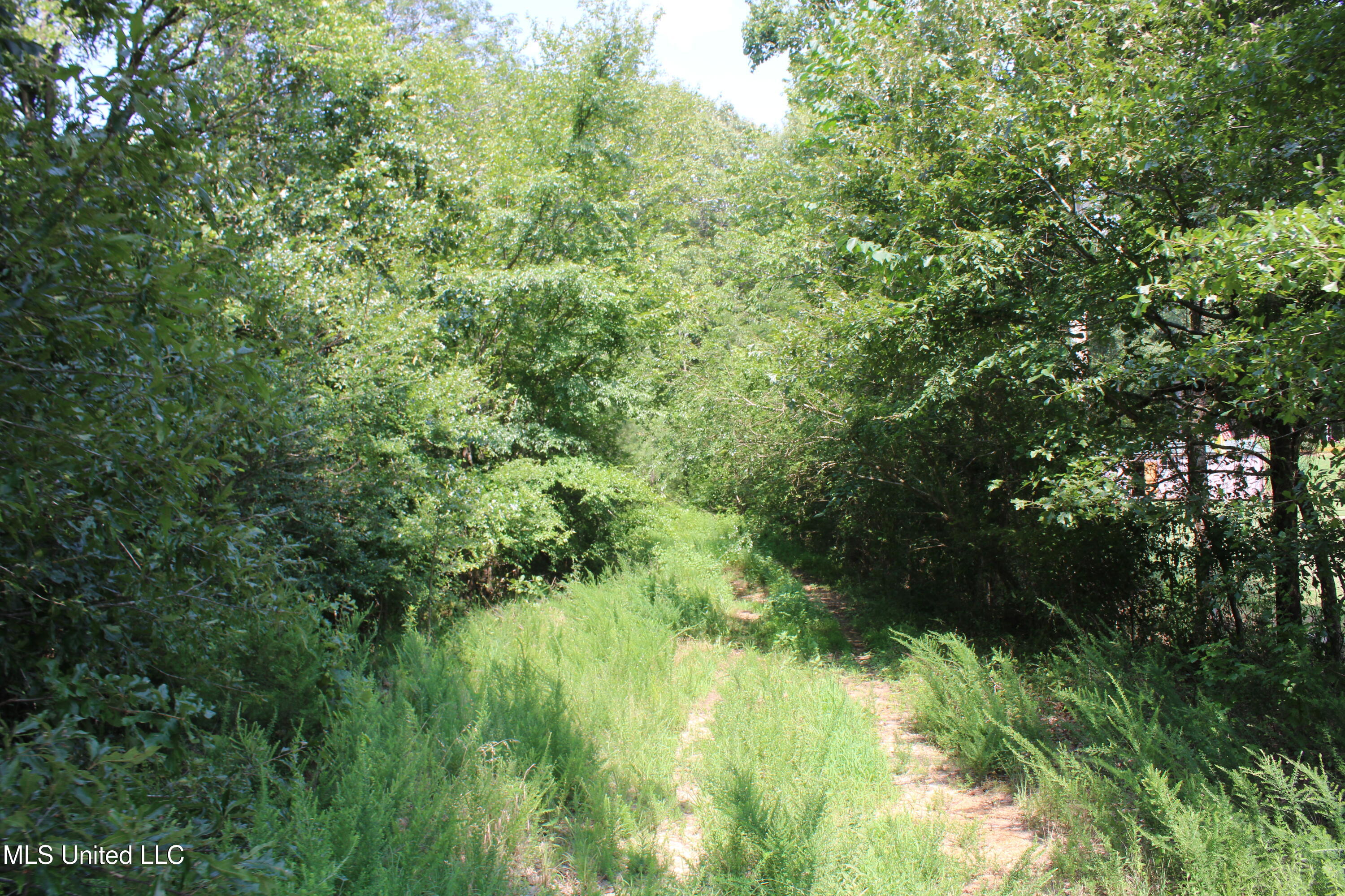 3466 Bethel Road Property Photo 50