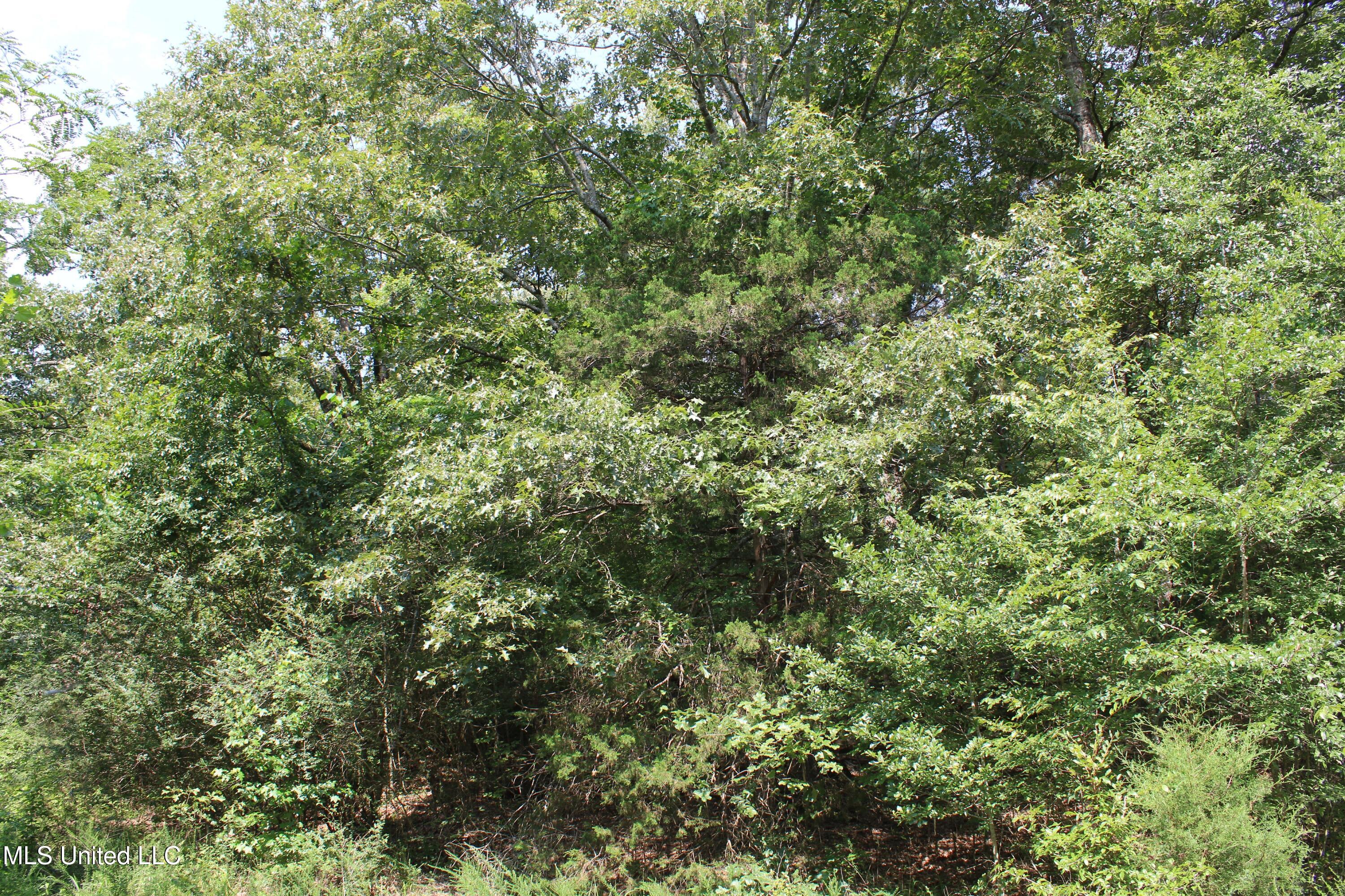 3466 Bethel Road Property Photo 52
