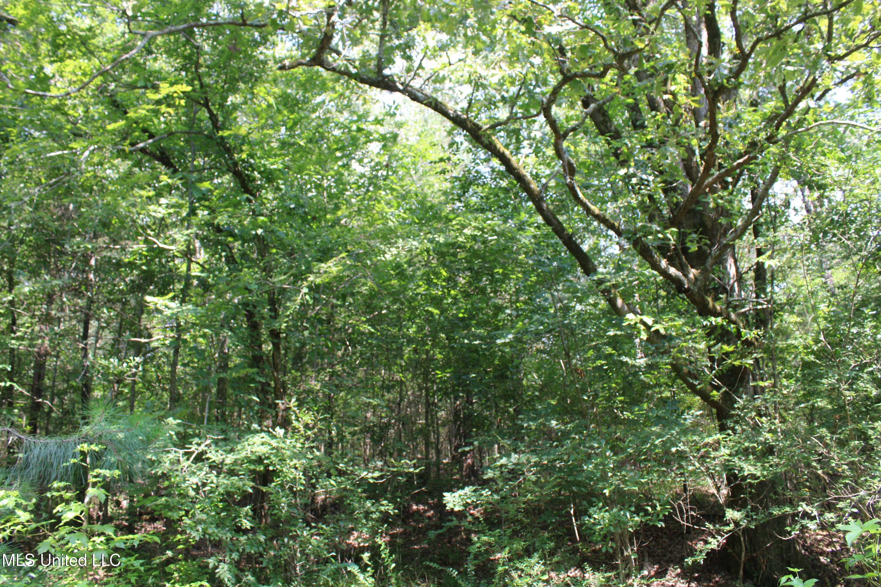 3466 Bethel Road Property Photo 54