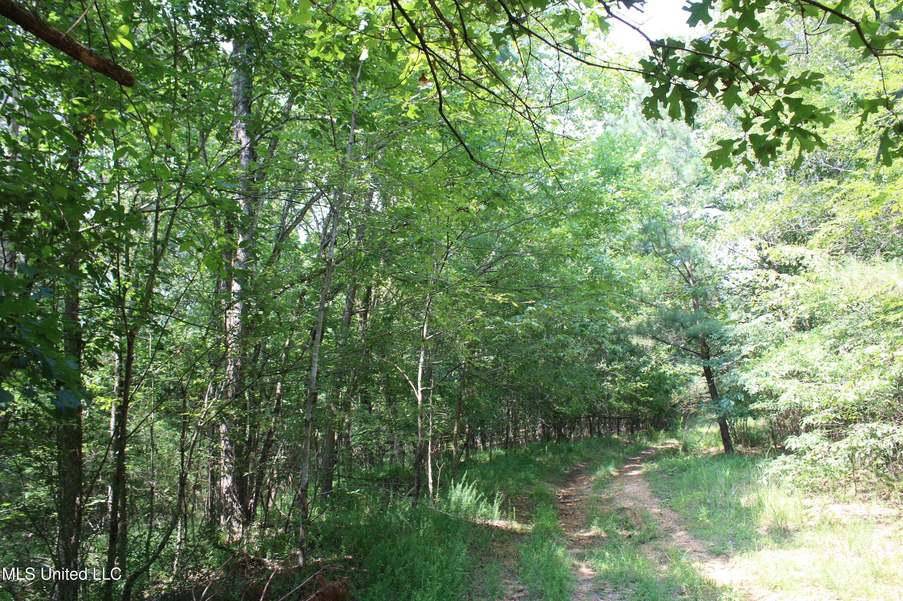 3466 Bethel Road Property Photo 55