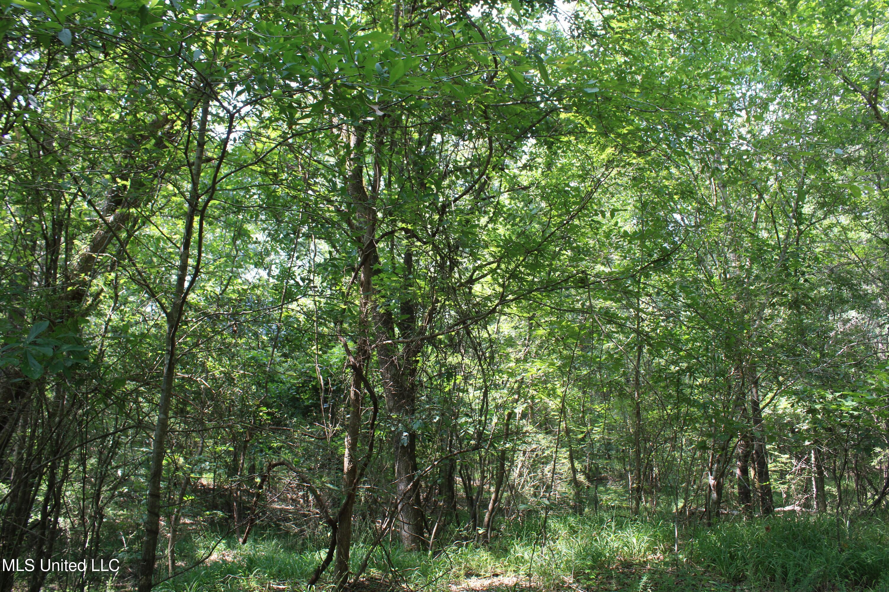 3466 Bethel Road Property Photo 56