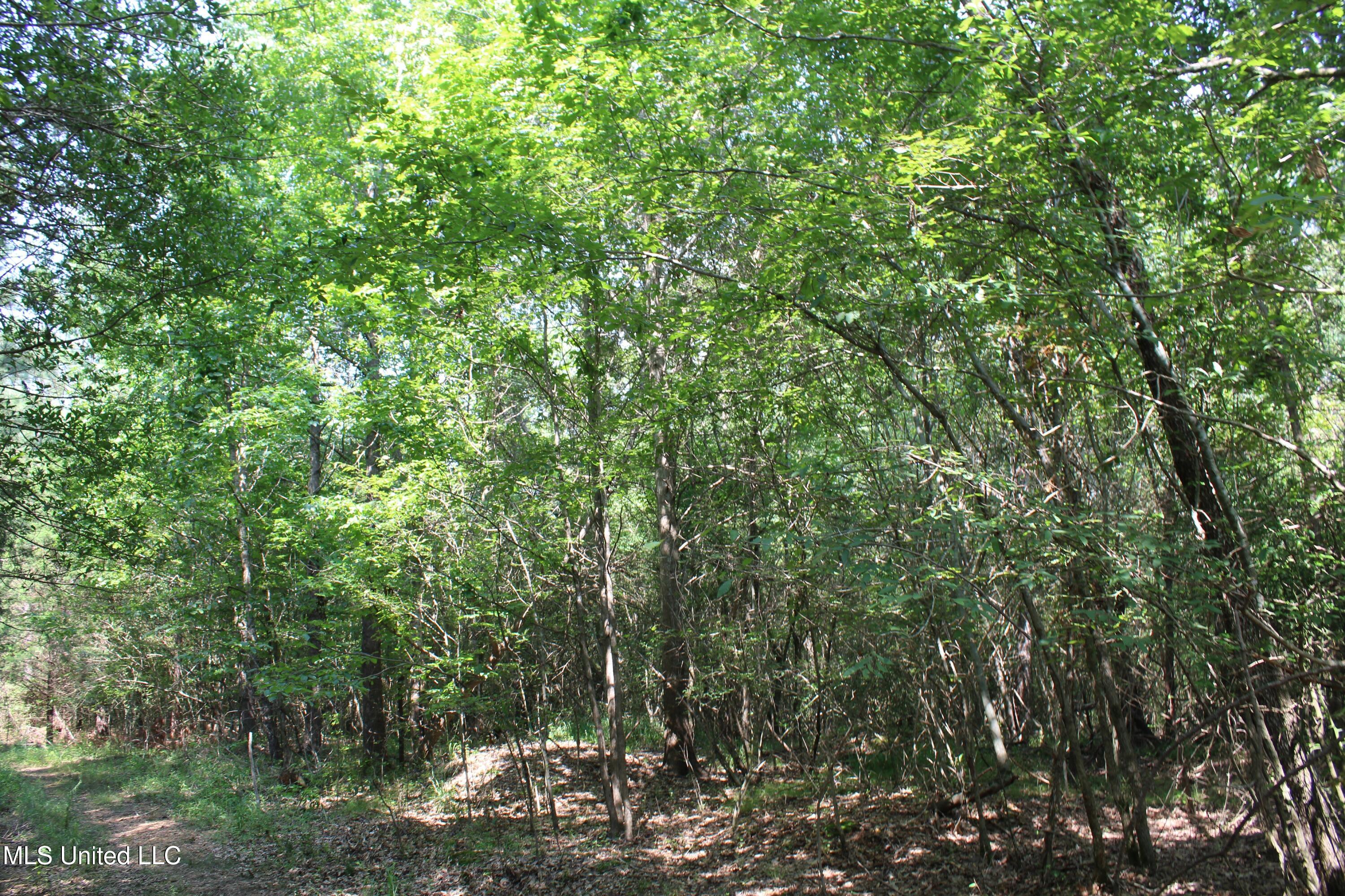 3466 Bethel Road Property Photo 58