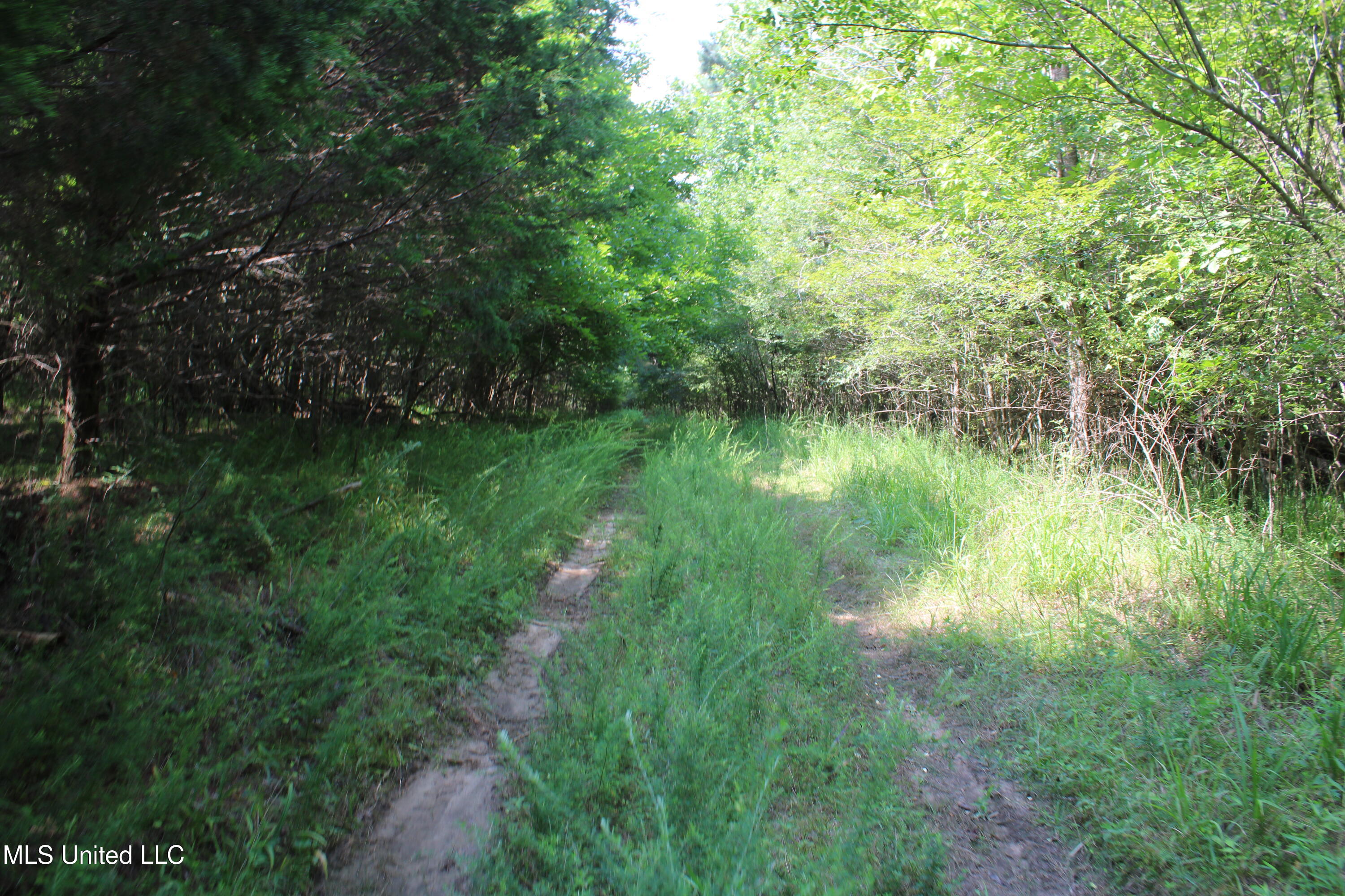 3466 Bethel Road Property Photo 59