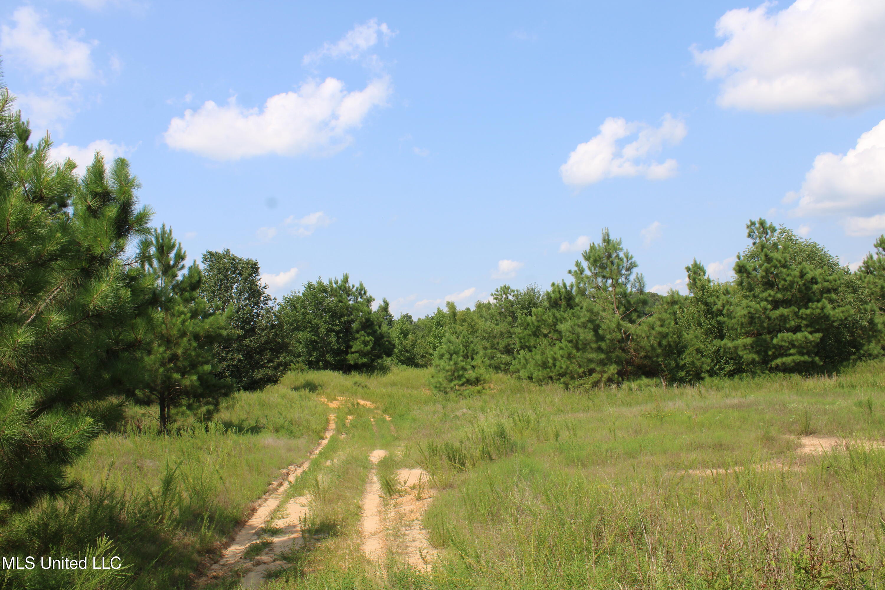 3466 Bethel Road Property Photo 61