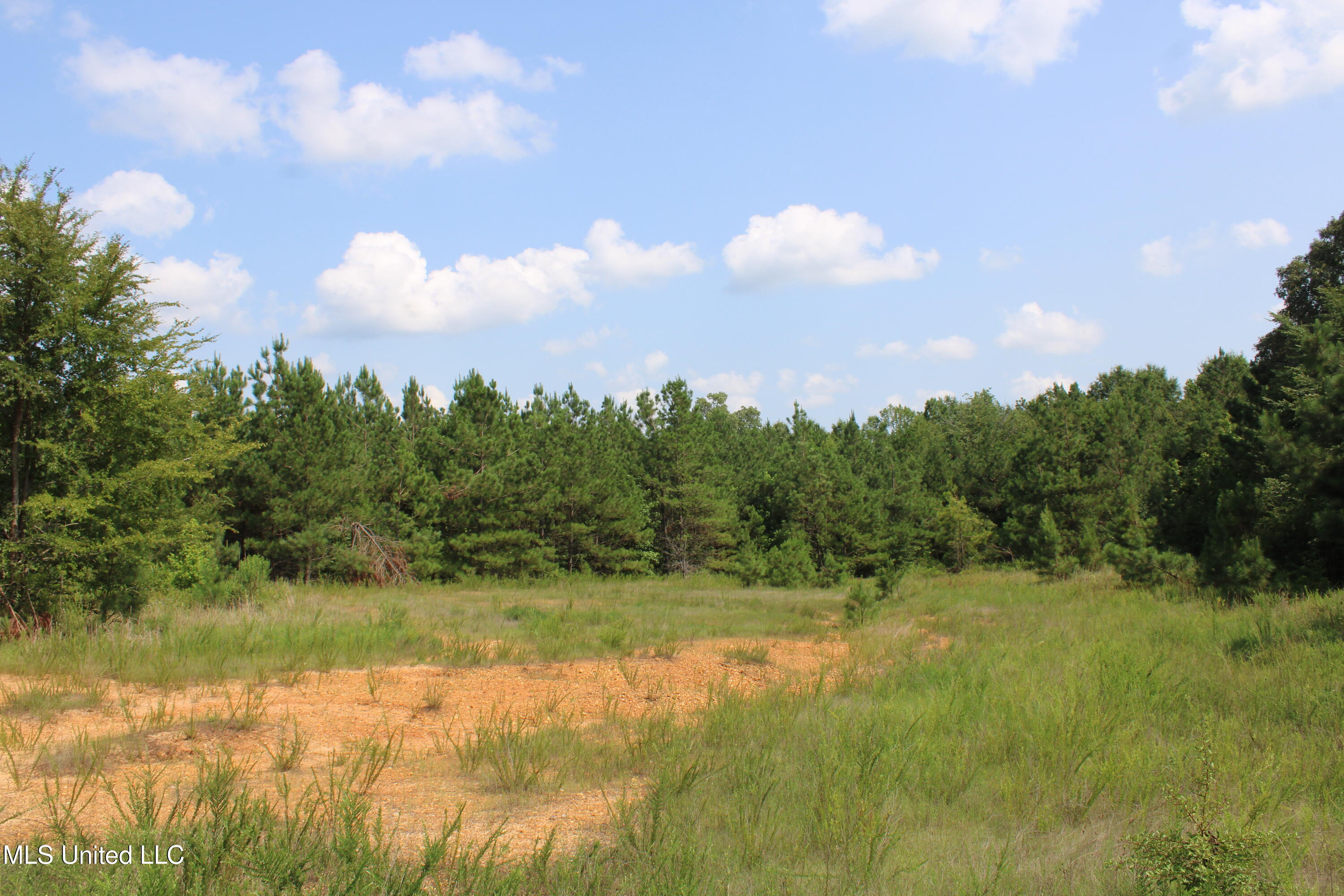 3466 Bethel Road Property Photo 63