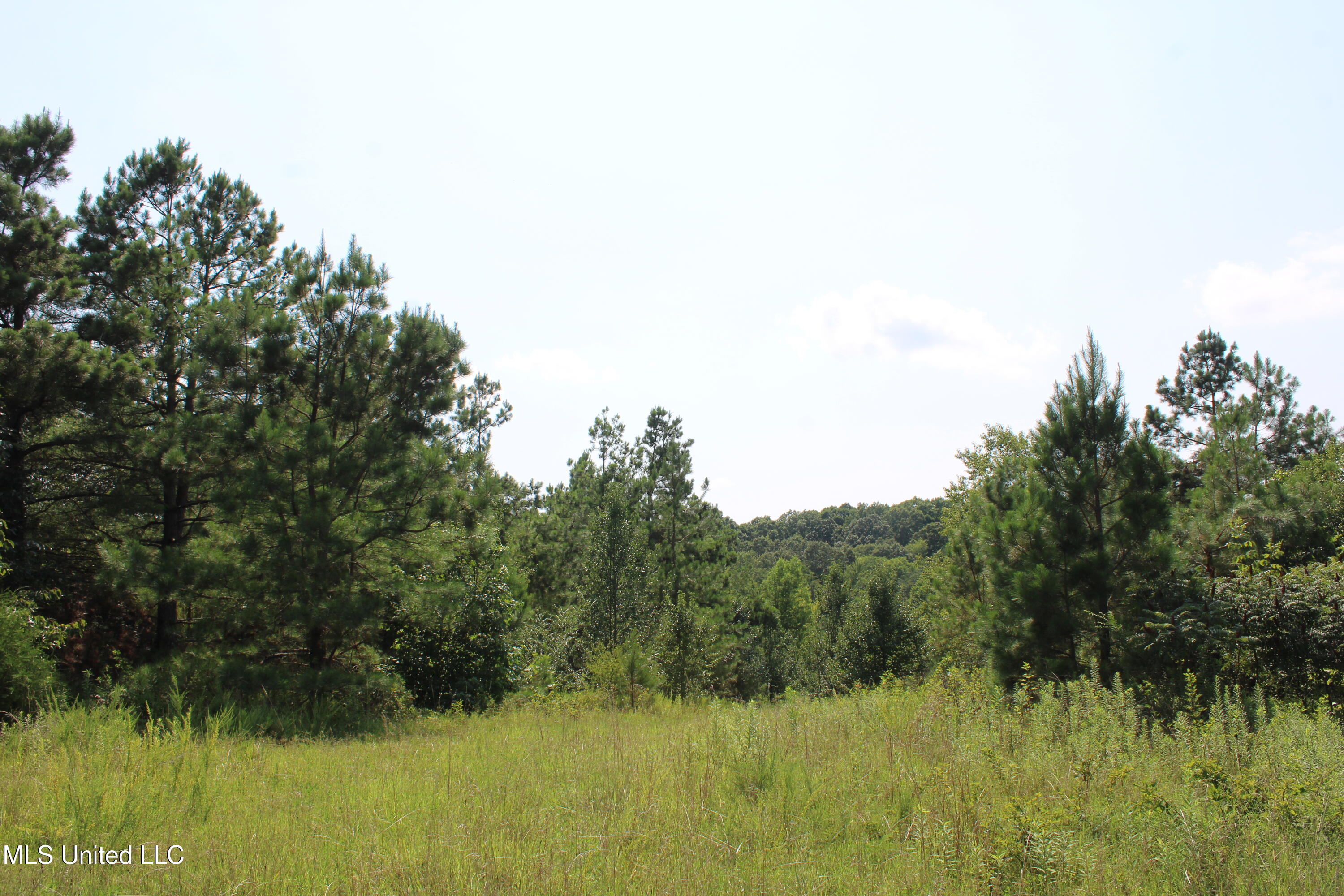 3466 Bethel Road Property Photo 71