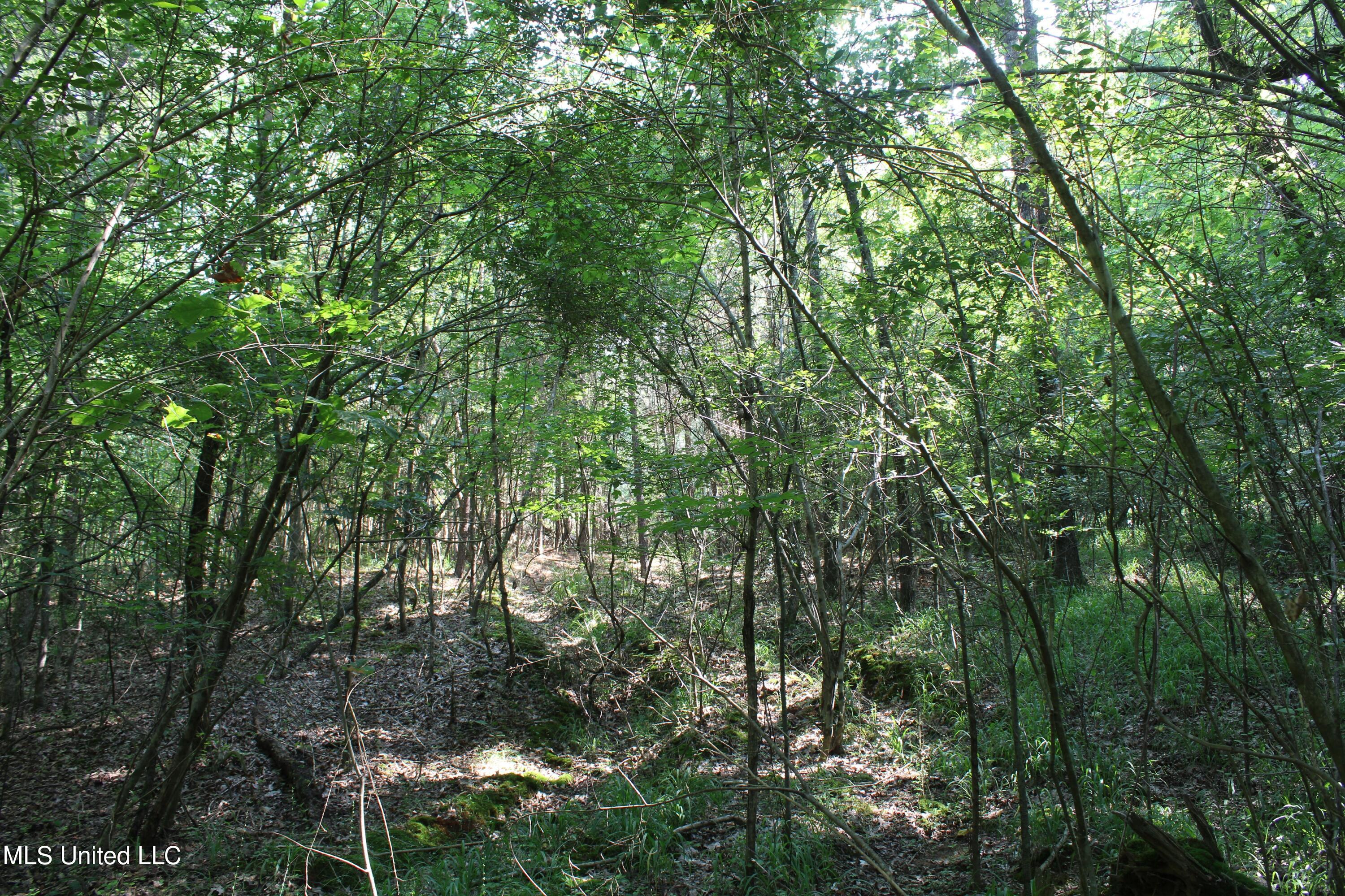 3466 Bethel Road Property Photo 80