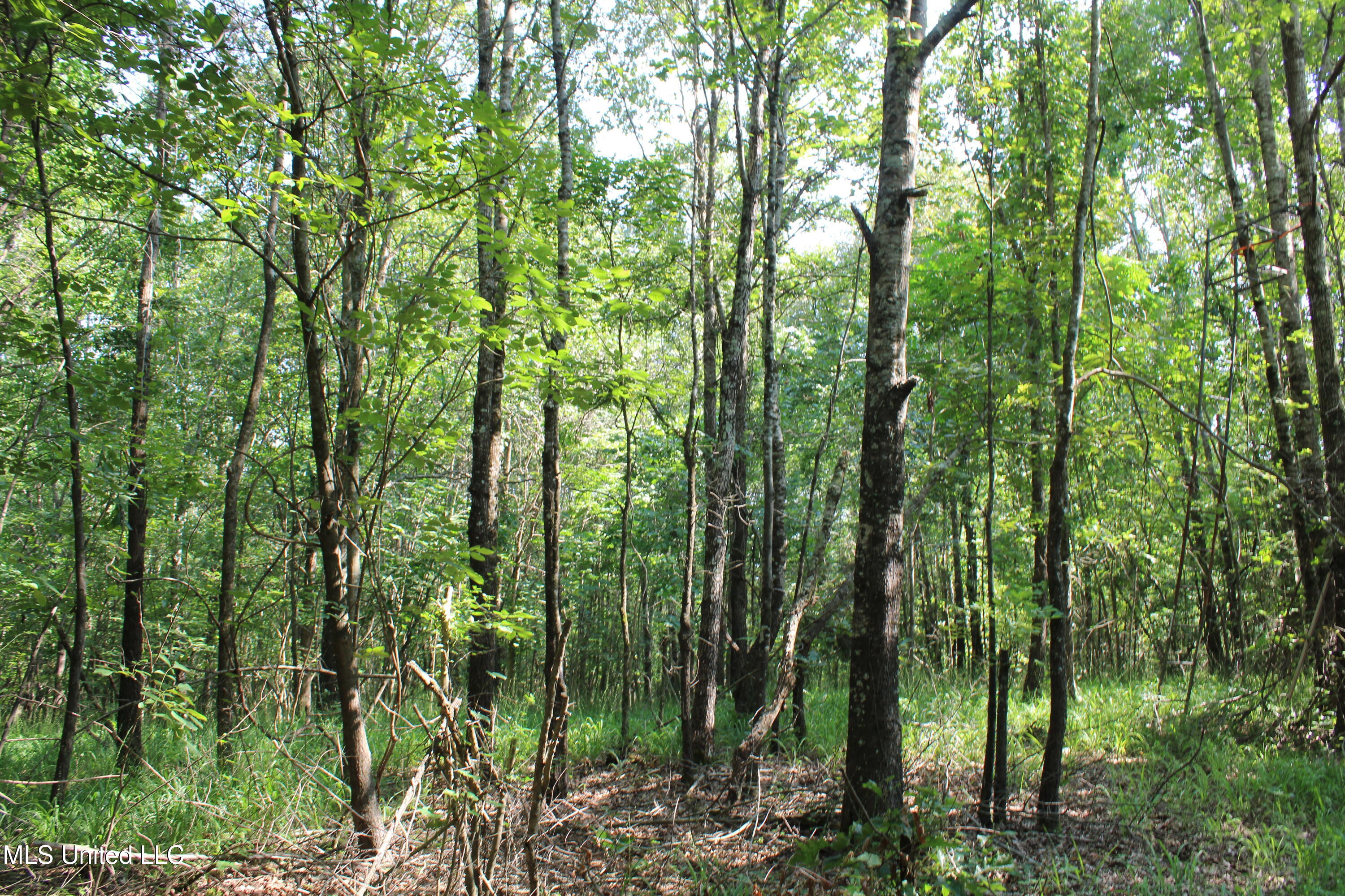 3466 Bethel Road Property Photo 84