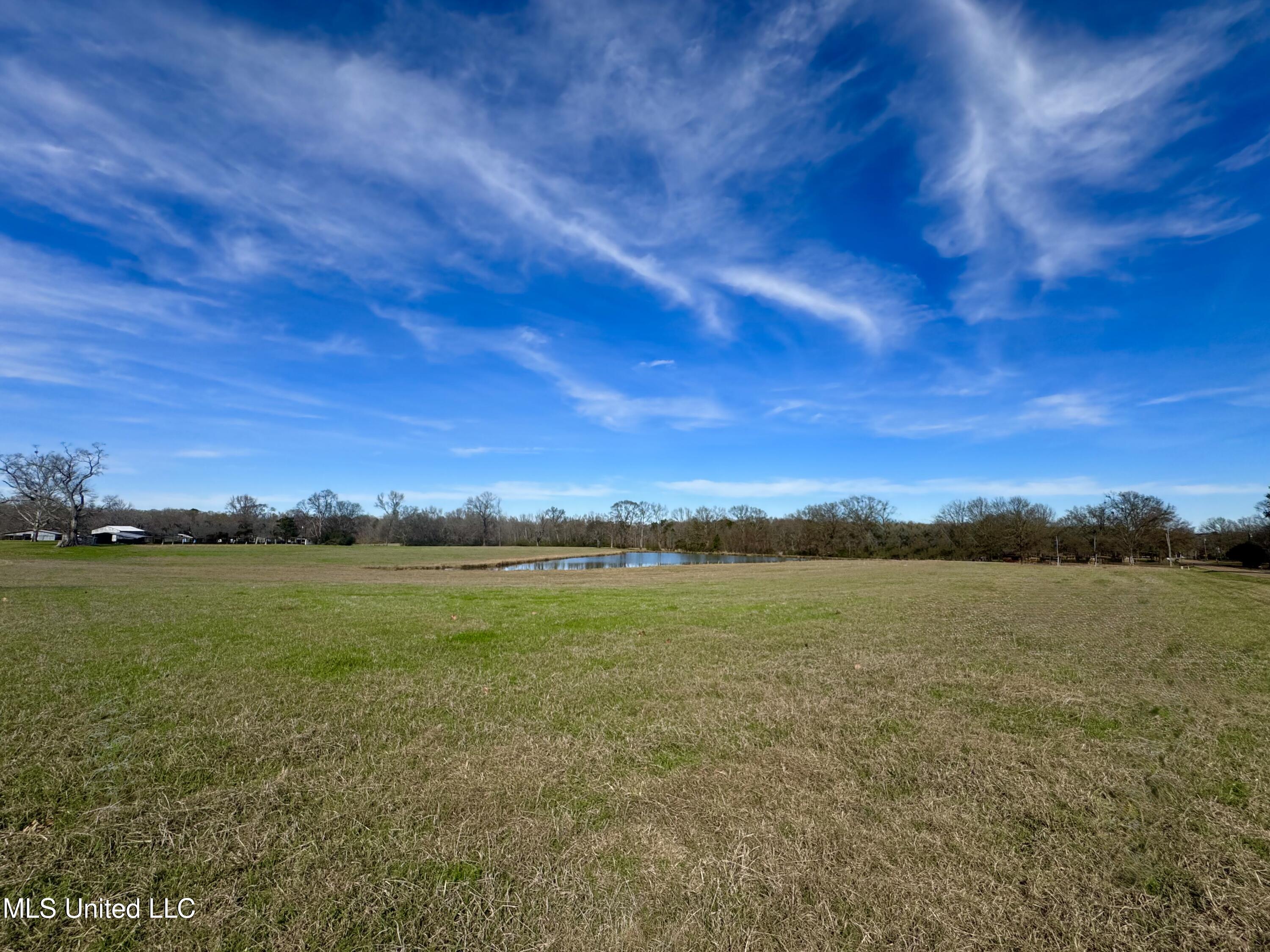 2720 Davis Road Property Photo 5